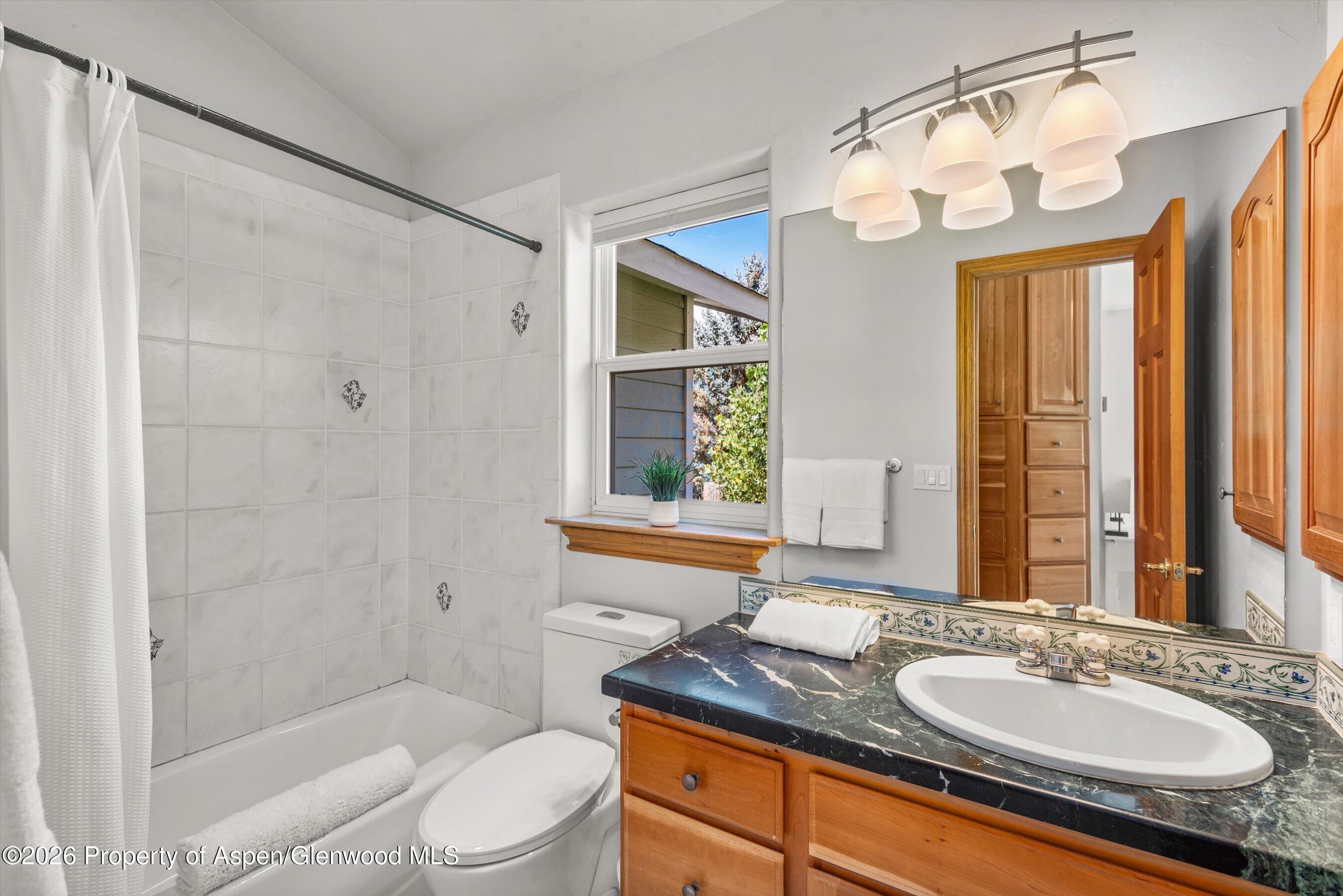 11 Riversedge Court Basalt CO 81621