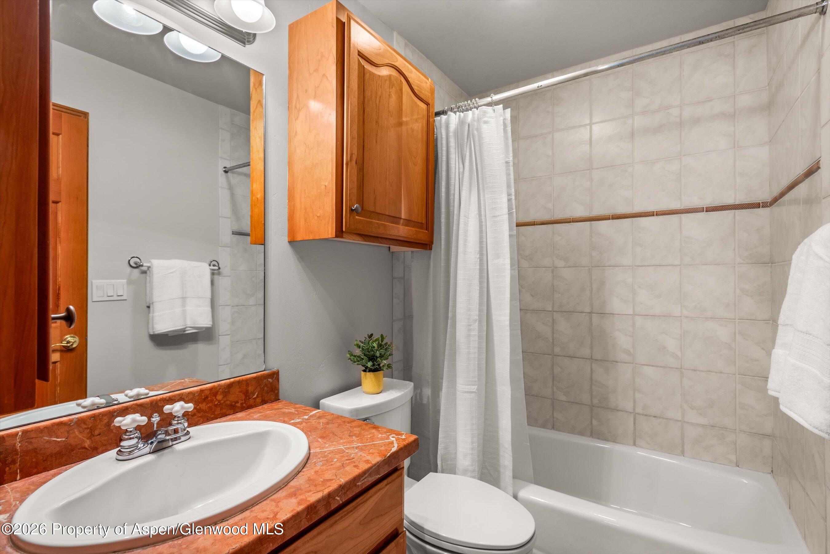 11 Riversedge Court Basalt CO 81621