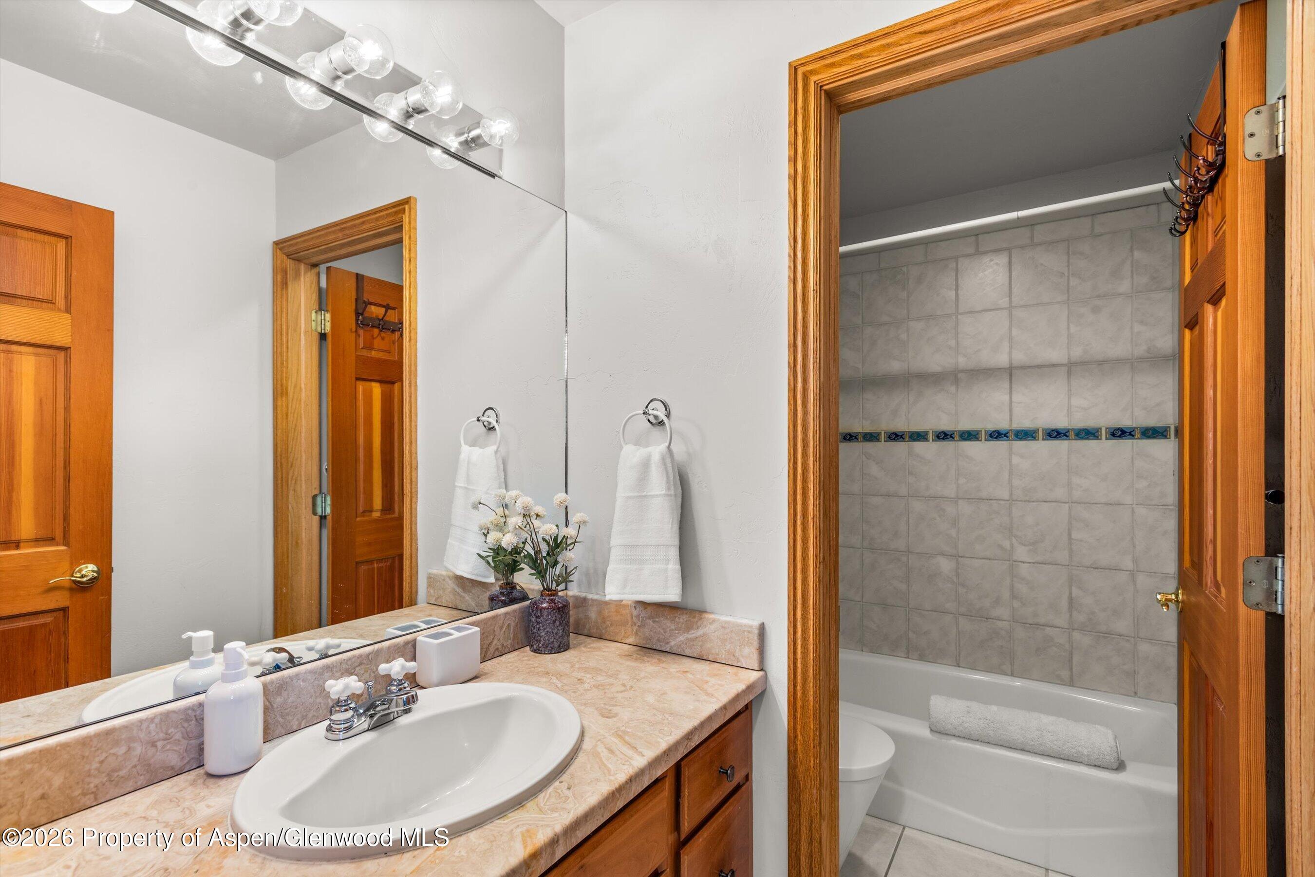 11 Riversedge Court Basalt CO 81621