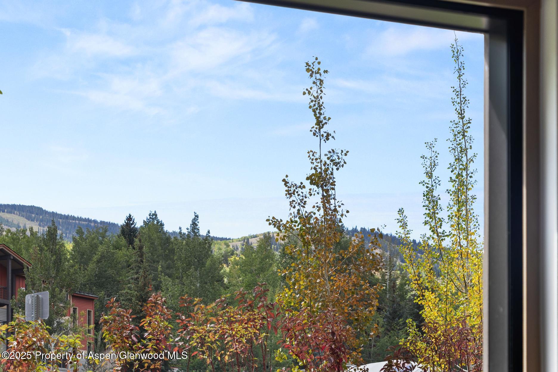 130 Wood Road Snowmass Village CO 81615