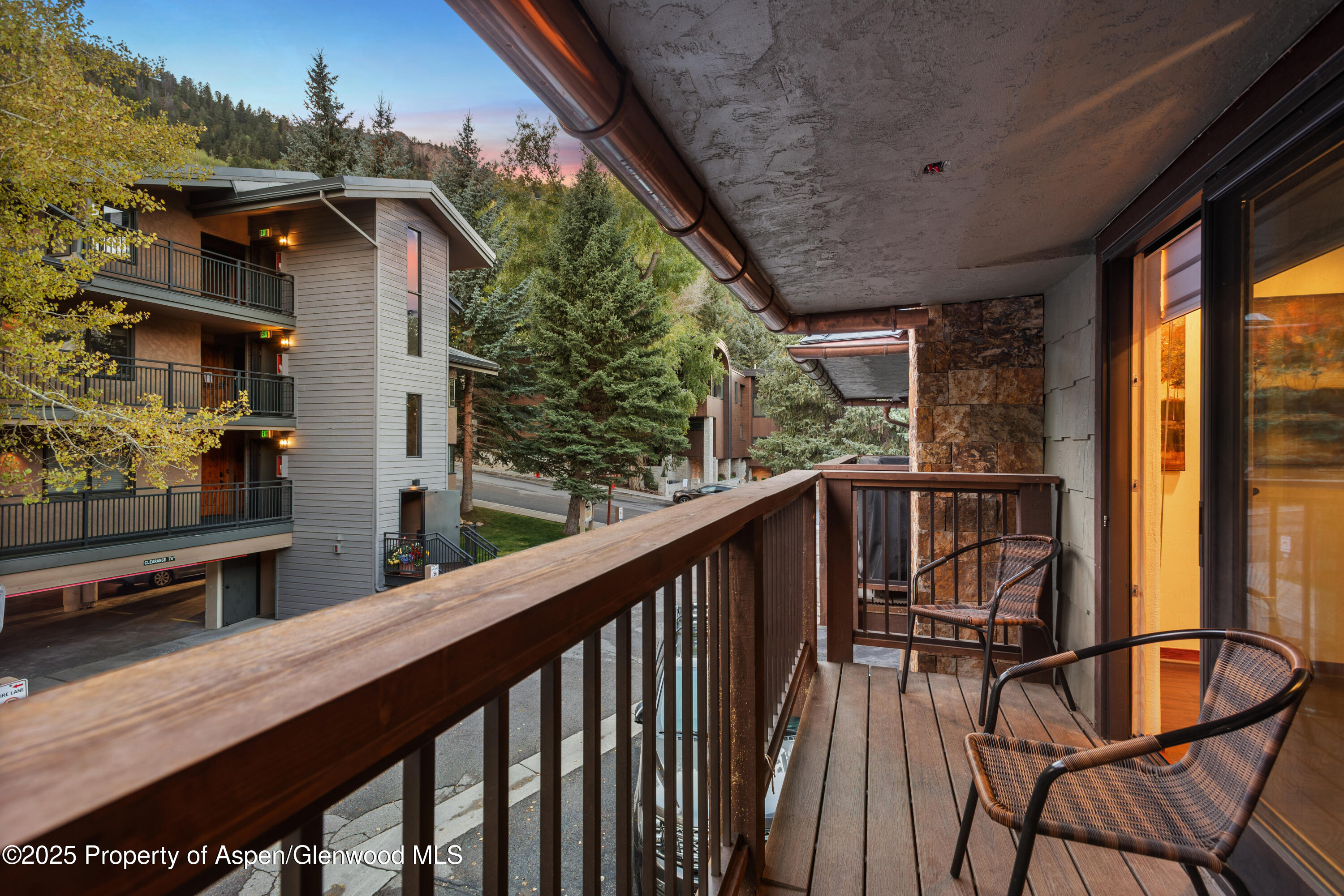 650 S Monarch Street Aspen CO 81611
