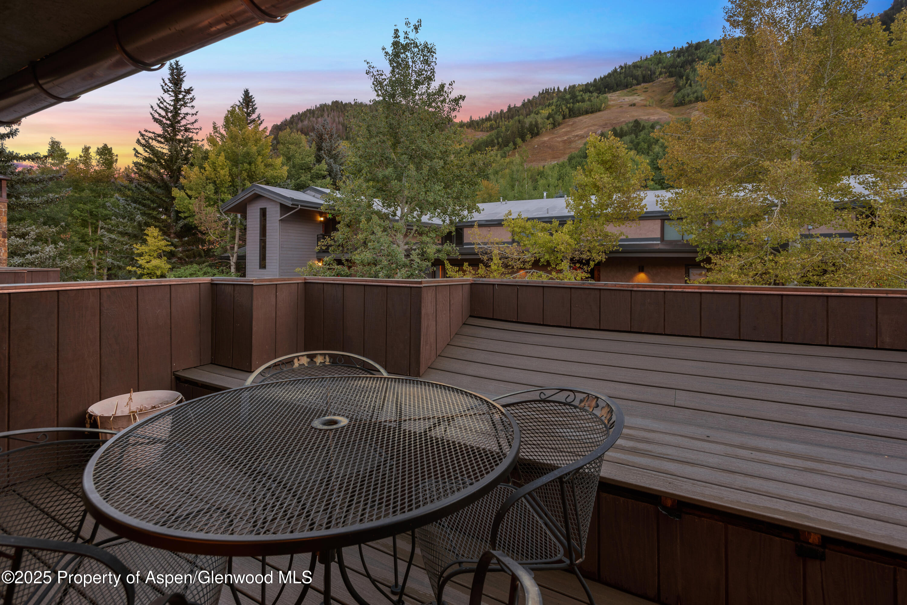 650 S Monarch Street Aspen CO 81611