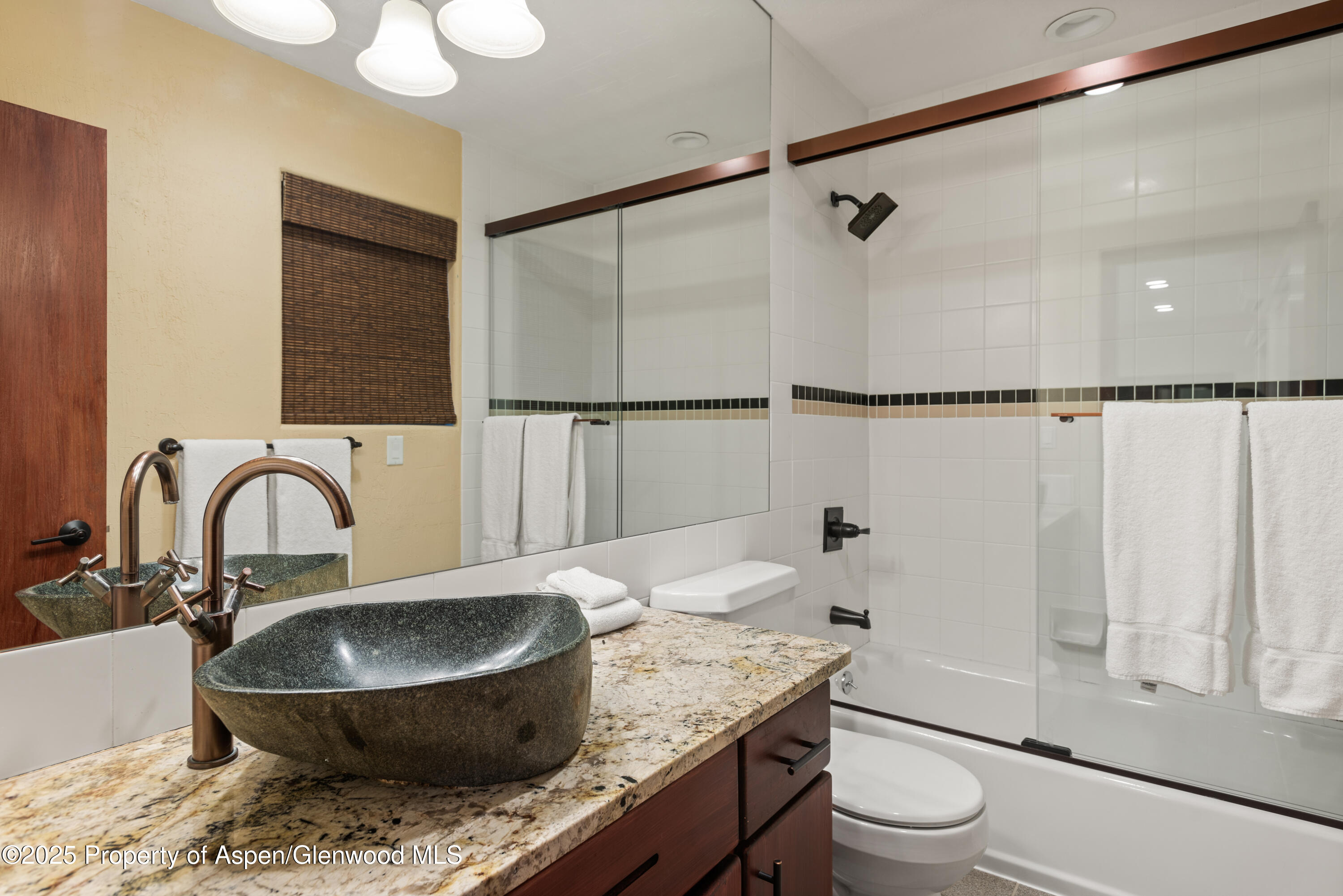 650 S Monarch Street Aspen CO 81611