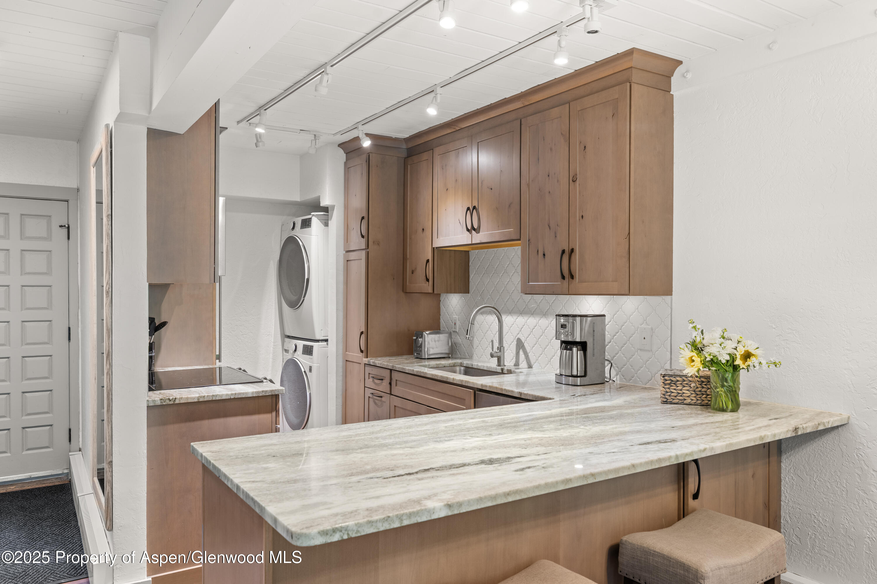 70 Gallun Lane Snowmass Village CO 81615