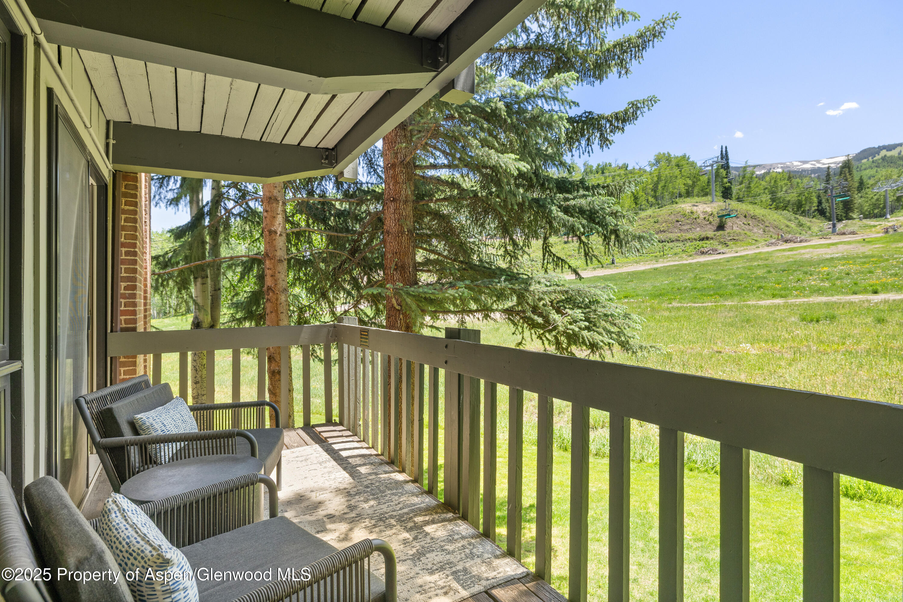 70 Gallun Lane Snowmass Village CO 81615