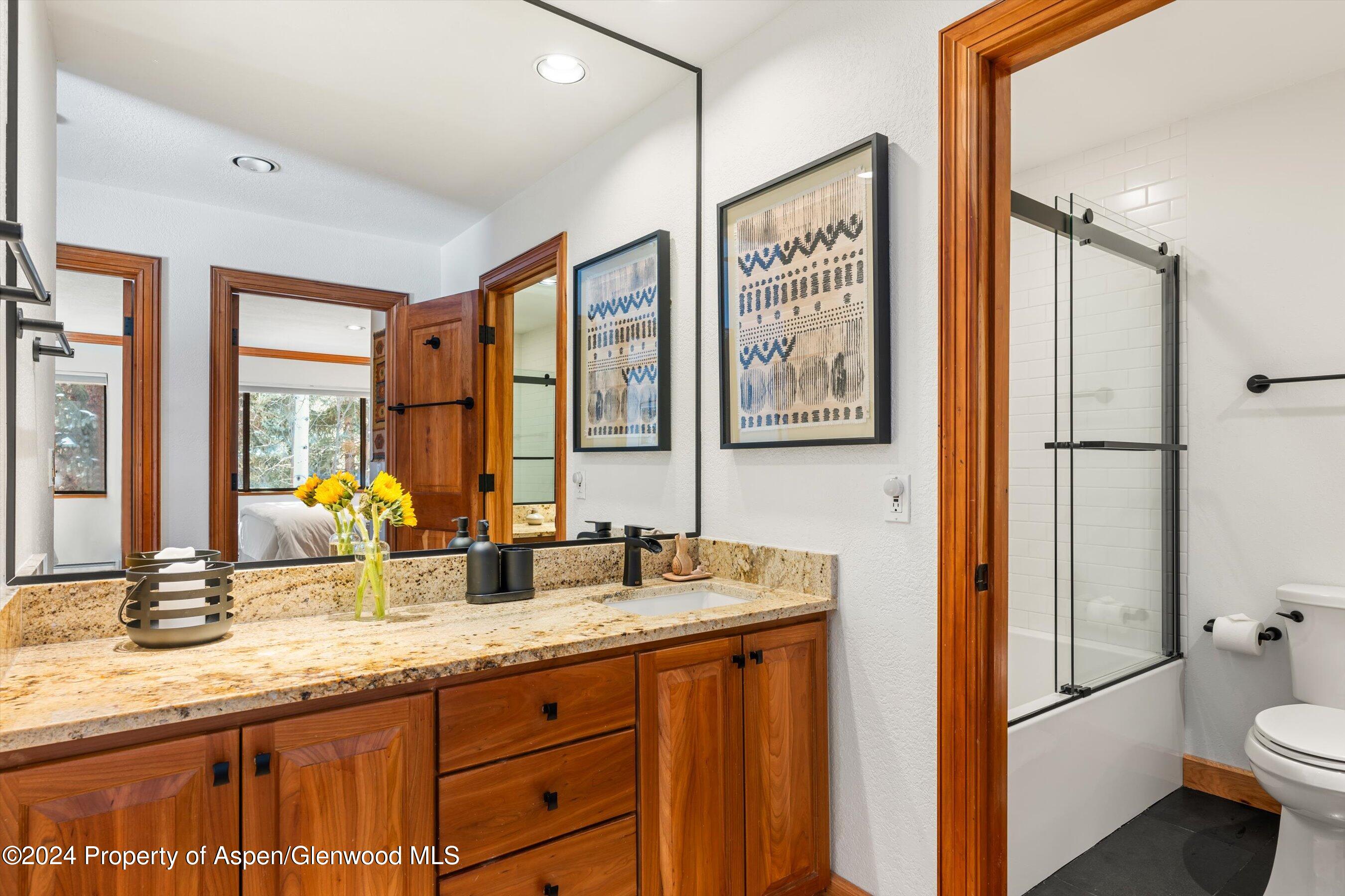 326 W Hopkins Avenue Aspen CO 81611