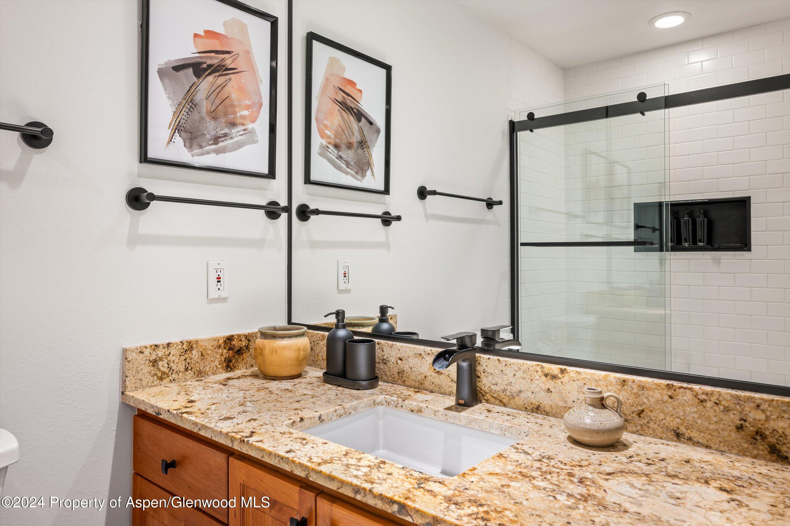 326 W Hopkins Avenue Aspen CO 81611