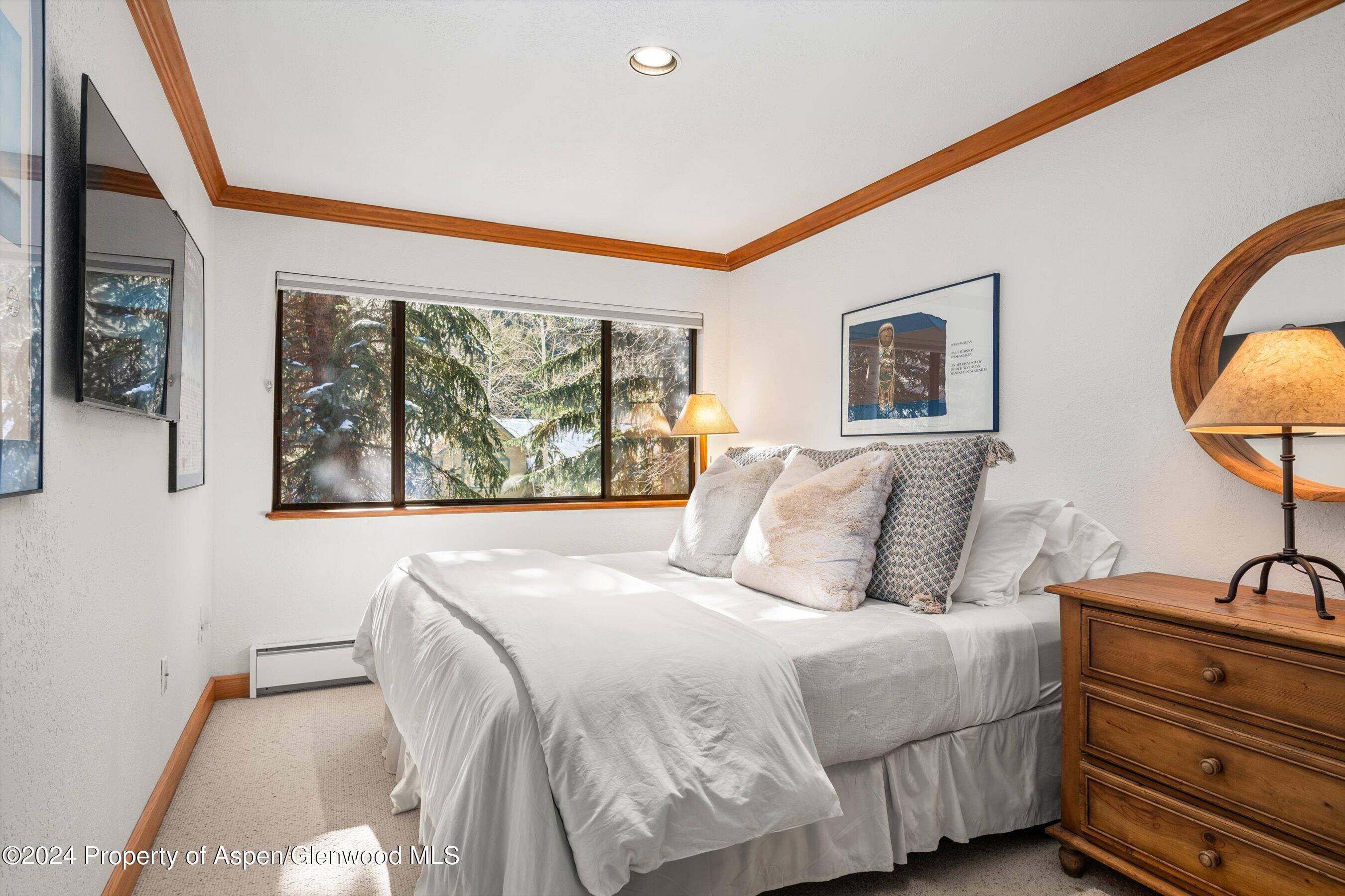 326 W Hopkins Avenue Aspen CO 81611