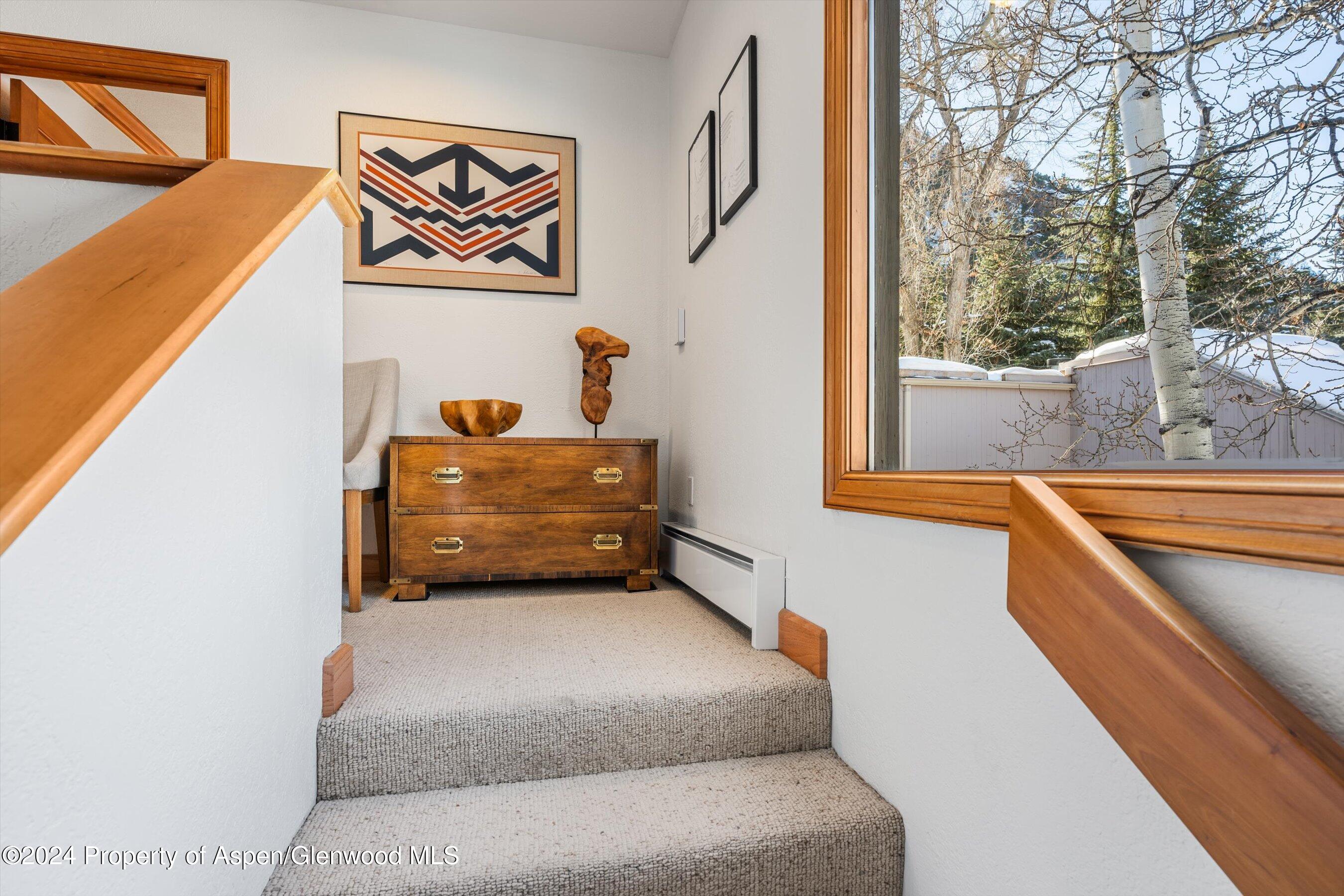 326 W Hopkins Avenue Aspen CO 81611