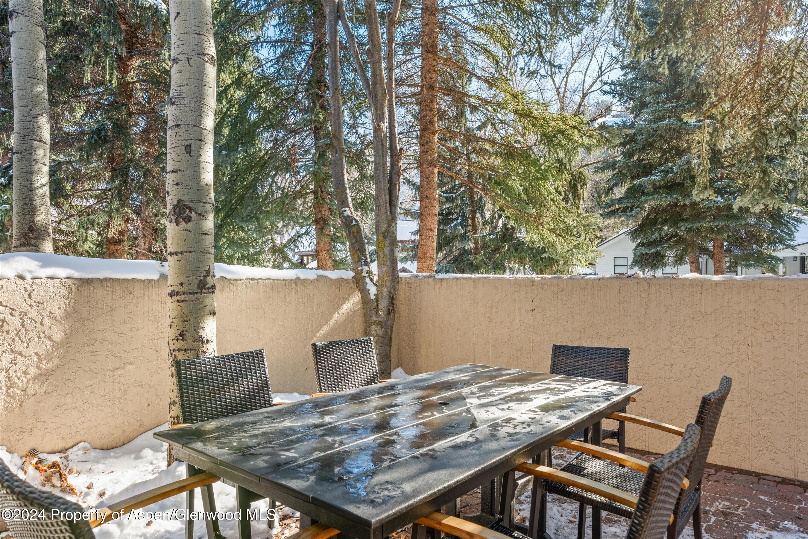 326 W Hopkins Avenue Aspen CO 81611