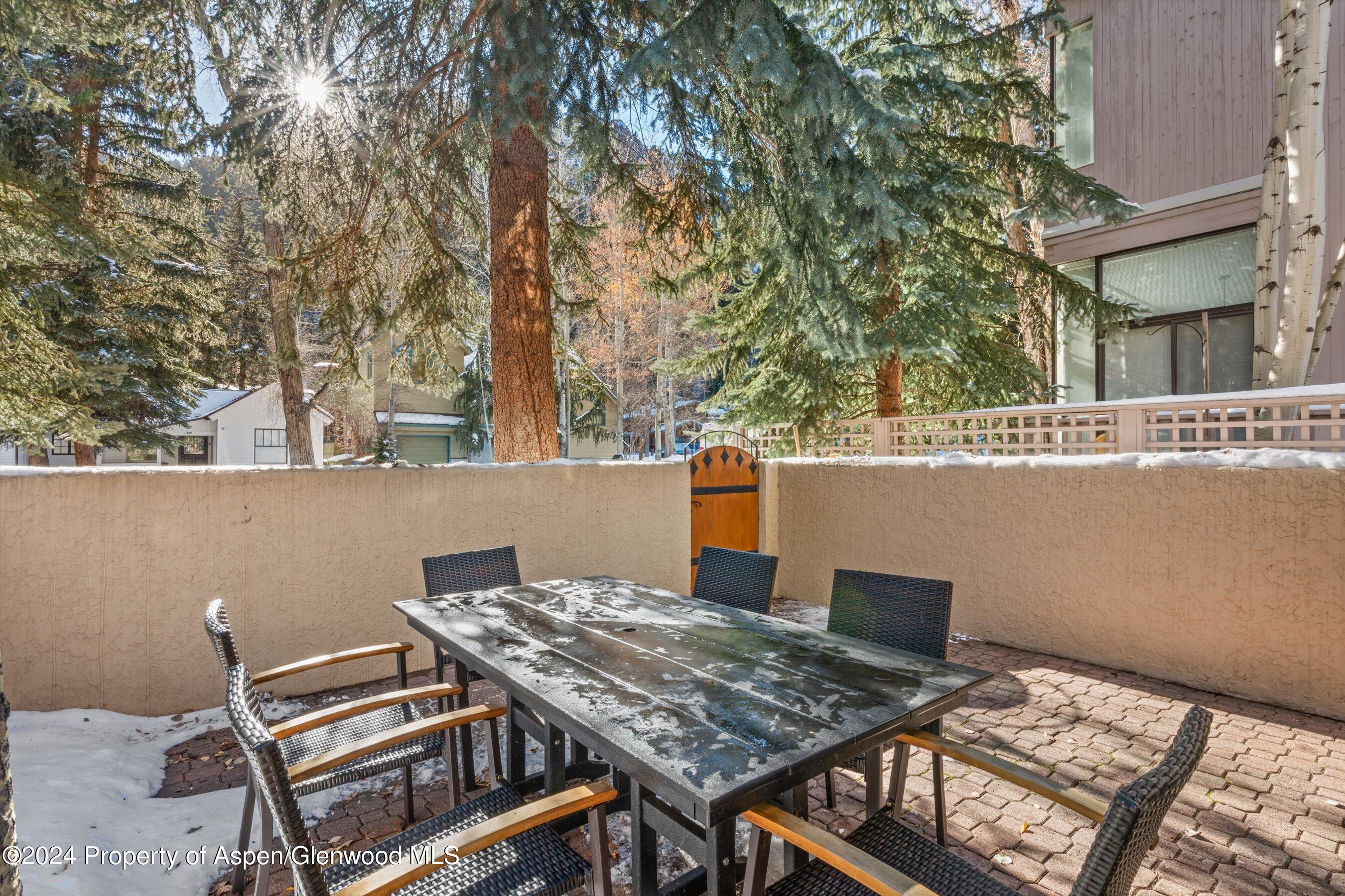 326 W Hopkins Avenue Aspen CO 81611