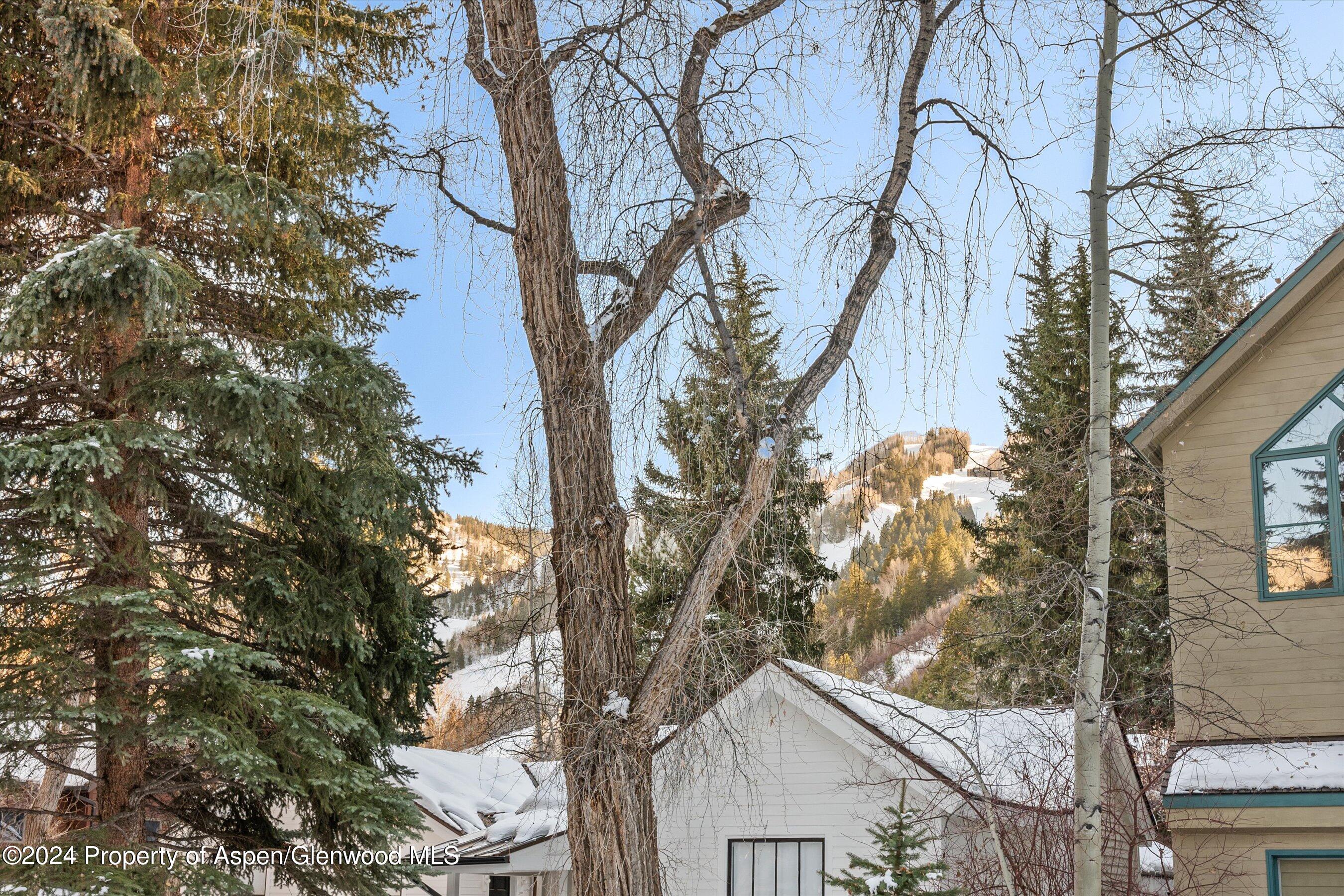 326 W Hopkins Avenue Aspen CO 81611