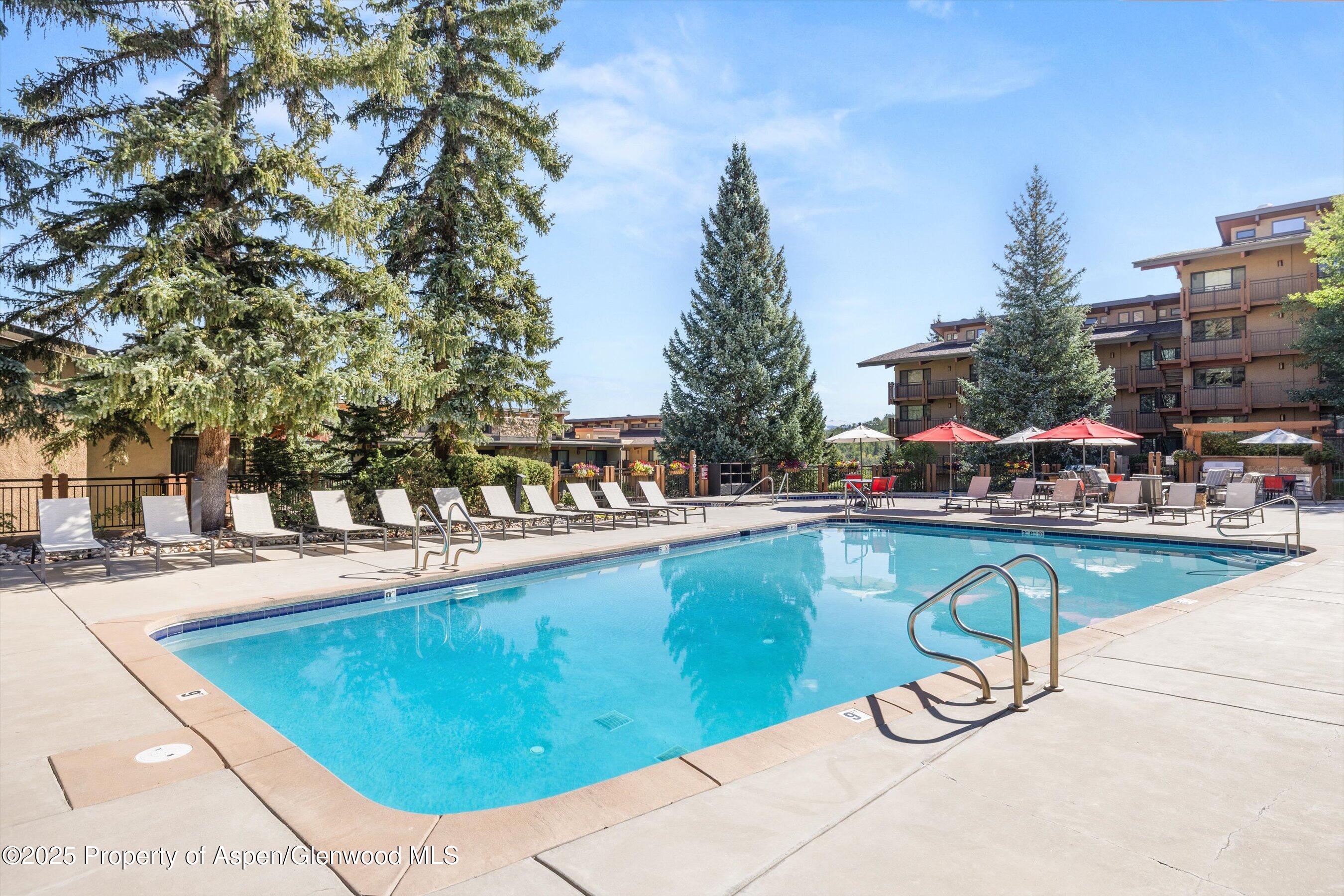 65 Campground Lane Snowmass Village CO 81615