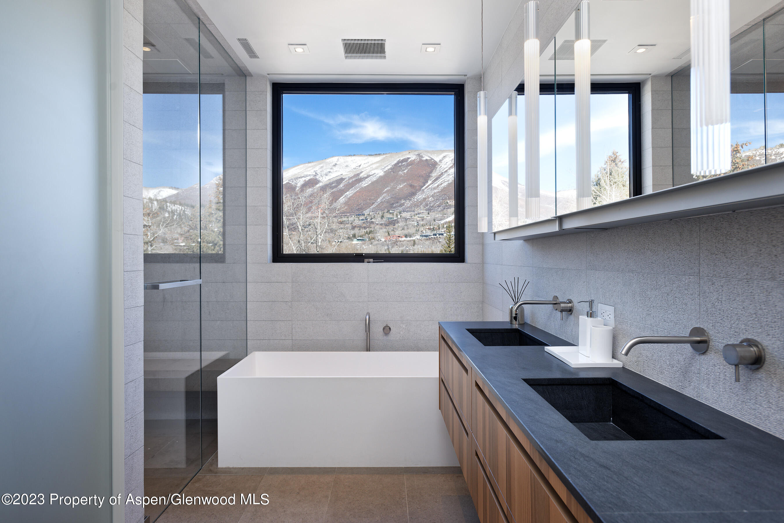 322 E Bleeker Street Aspen CO 81611