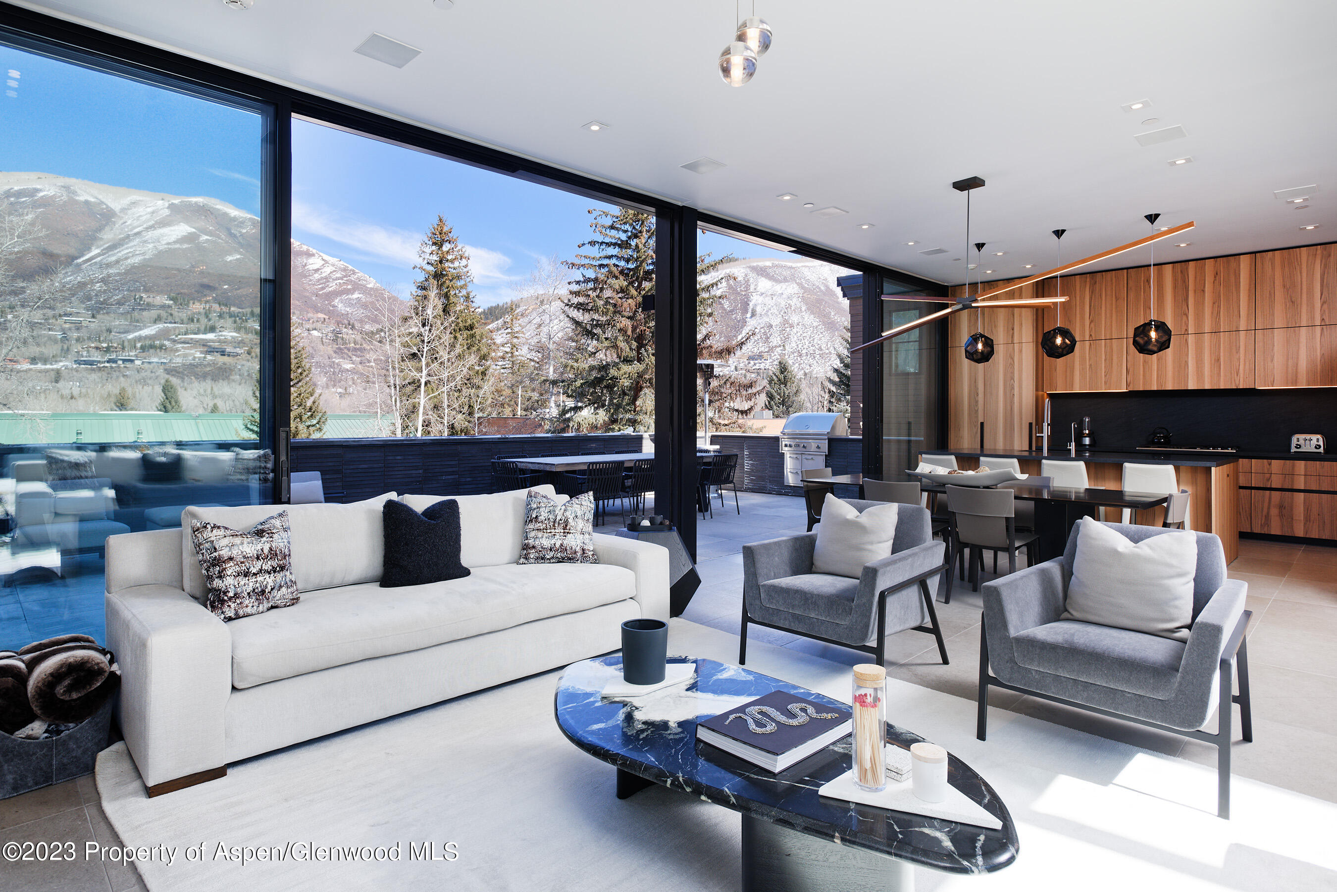 322 E Bleeker Street Aspen CO 81611