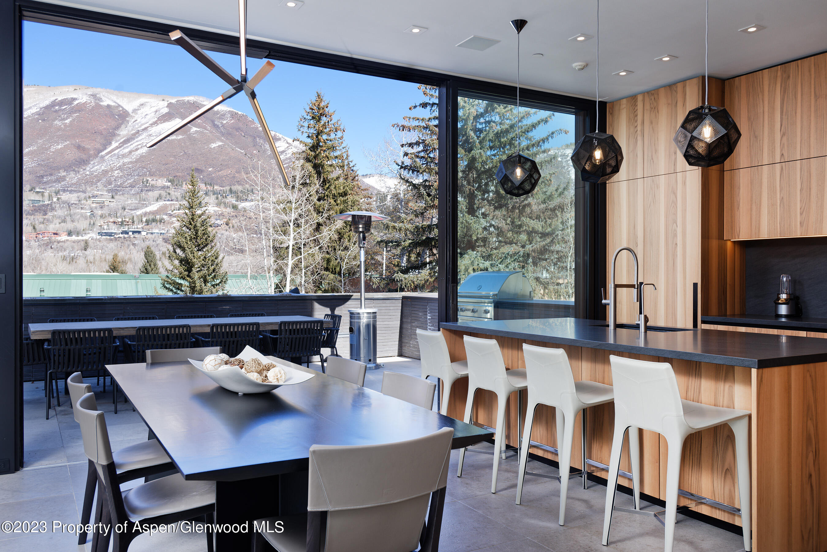 322 E Bleeker Street Aspen CO 81611