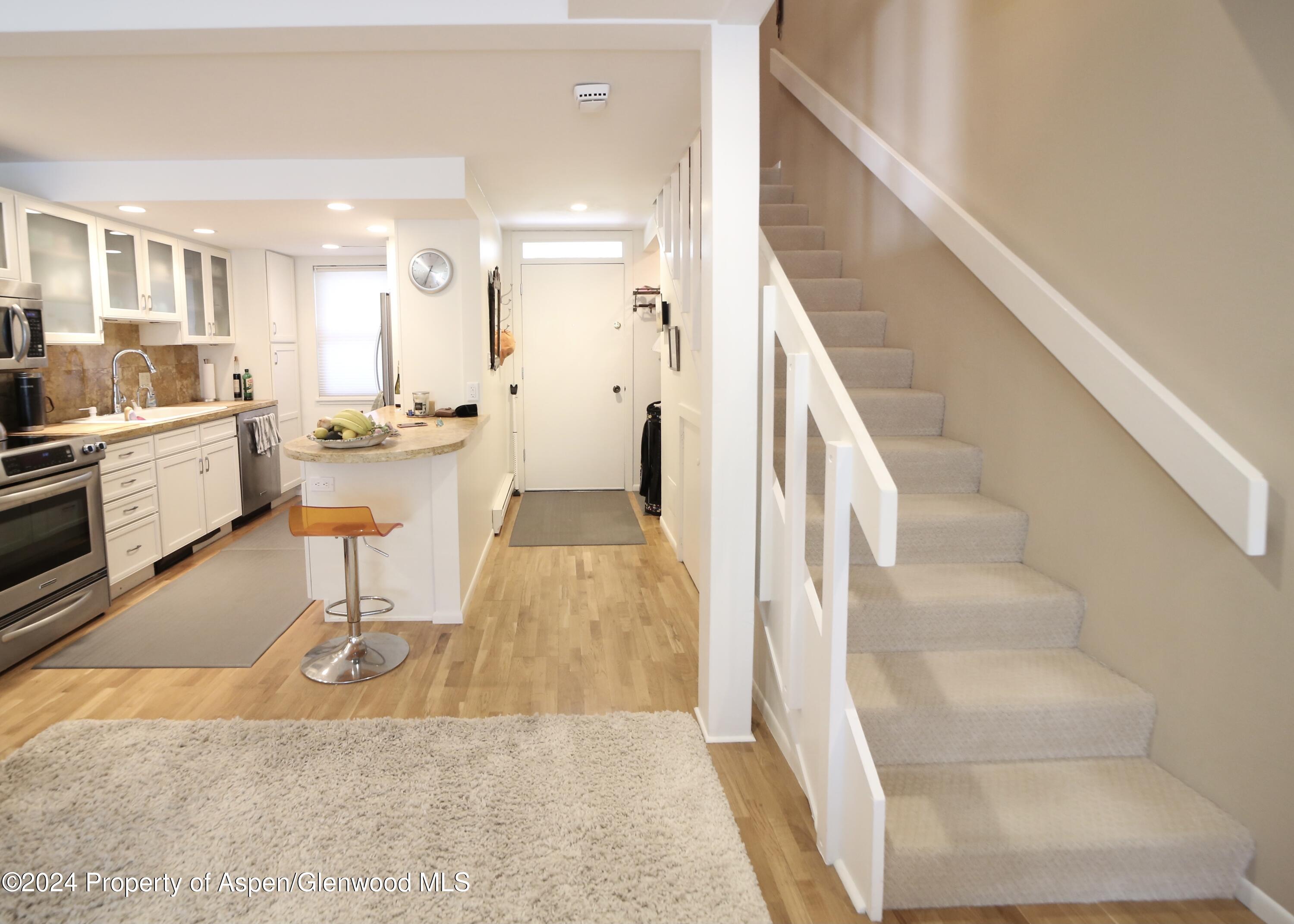 1007 E Hyman Avenue Aspen CO 81611