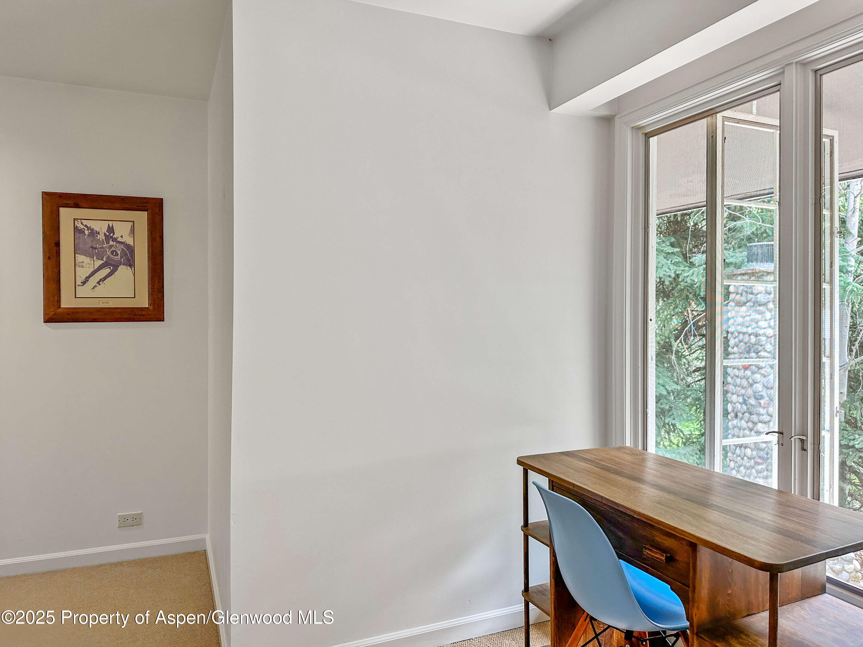 1425 Red Butte Drive Aspen CO 81611