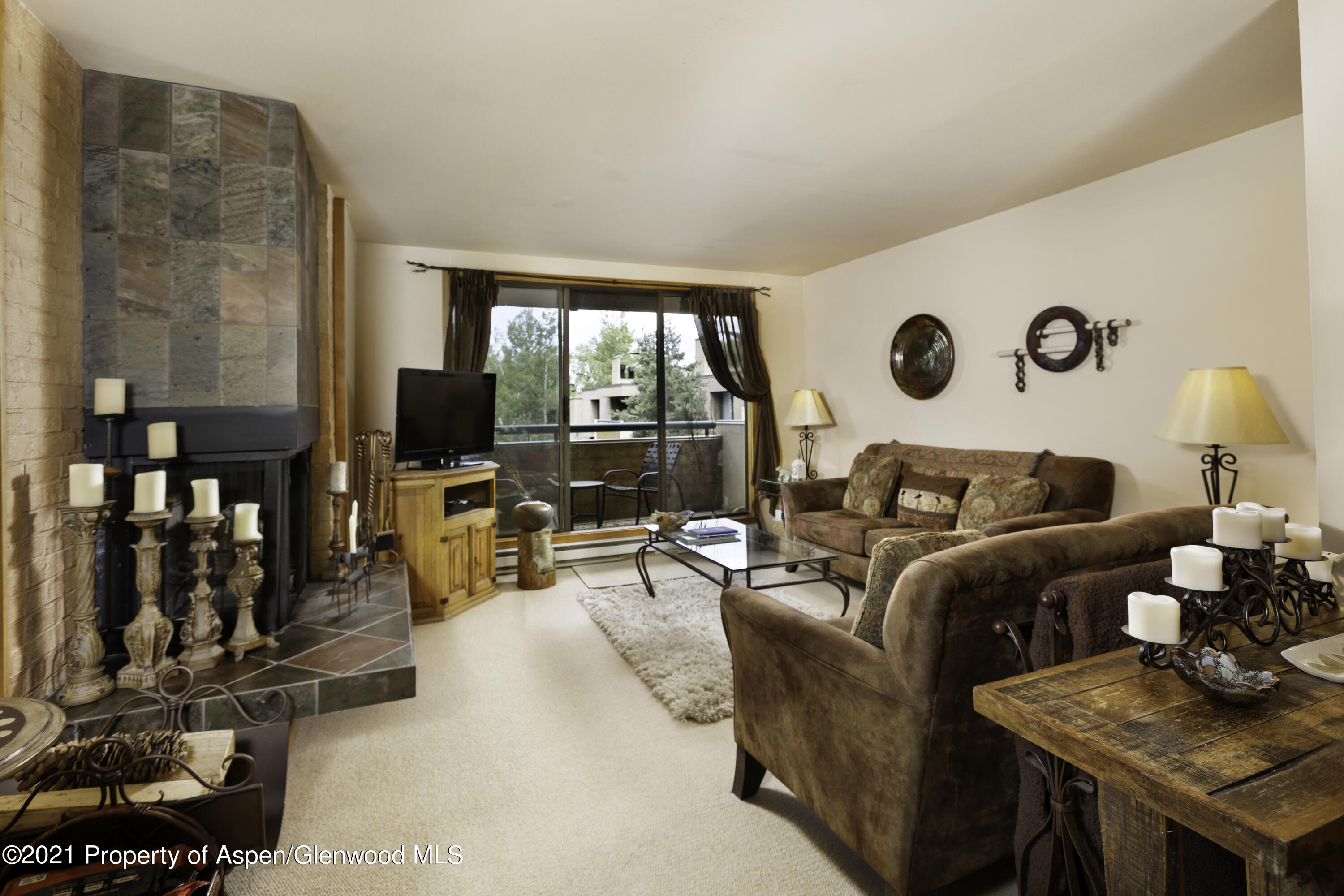 1028 E Hopkins Avenue Aspen CO 81611