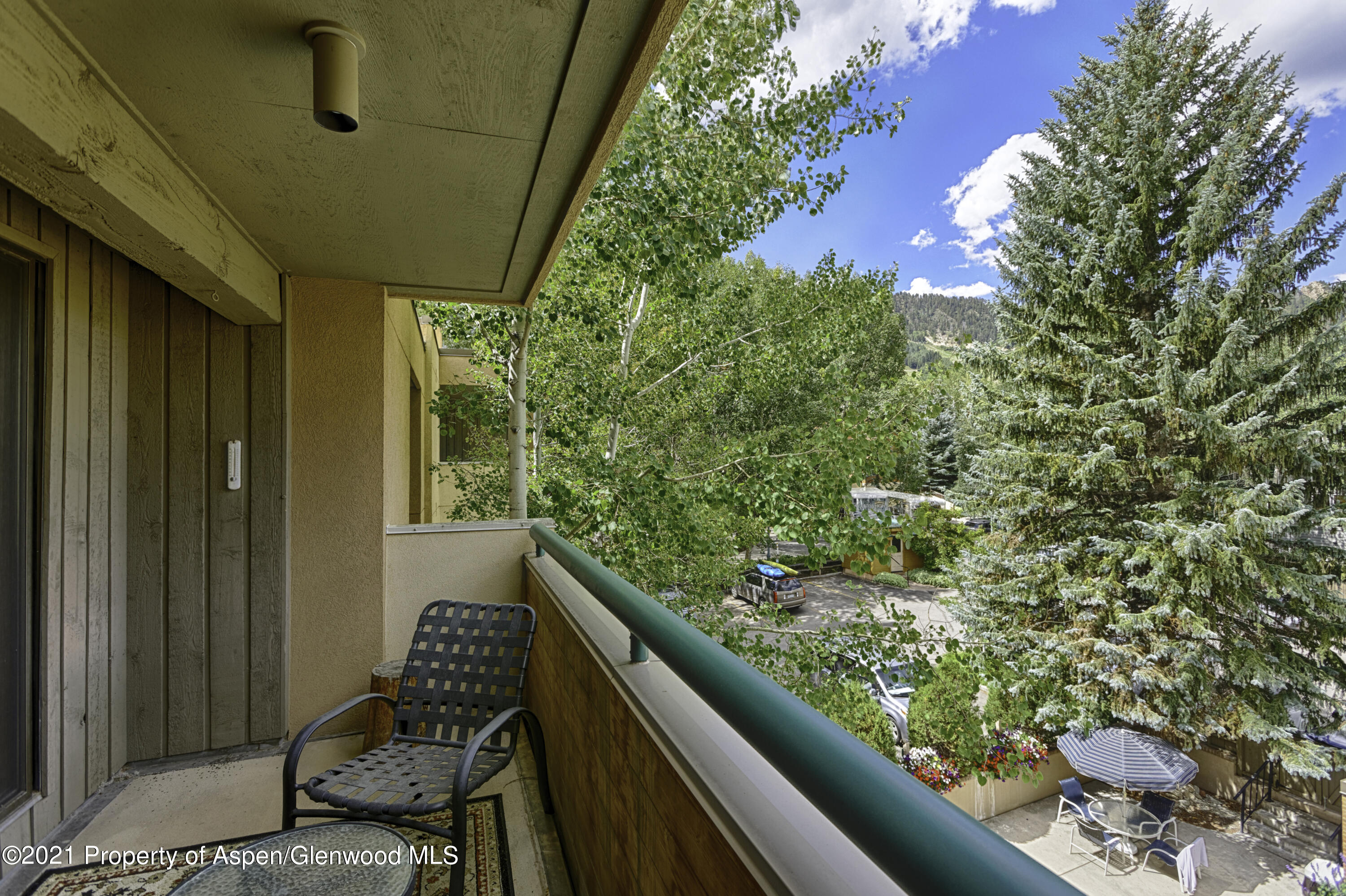 1028 E Hopkins Avenue Aspen CO 81611