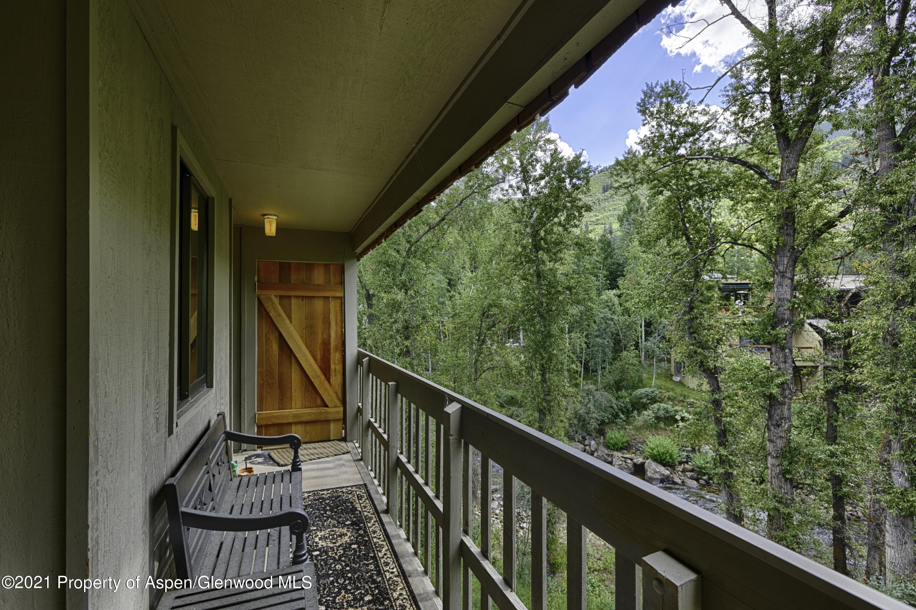 1028 E Hopkins Avenue Aspen CO 81611