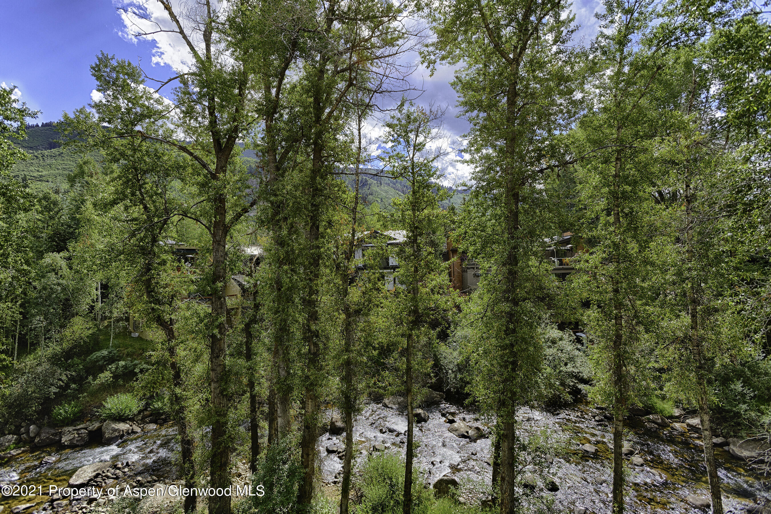 1028 E Hopkins Avenue Aspen CO 81611