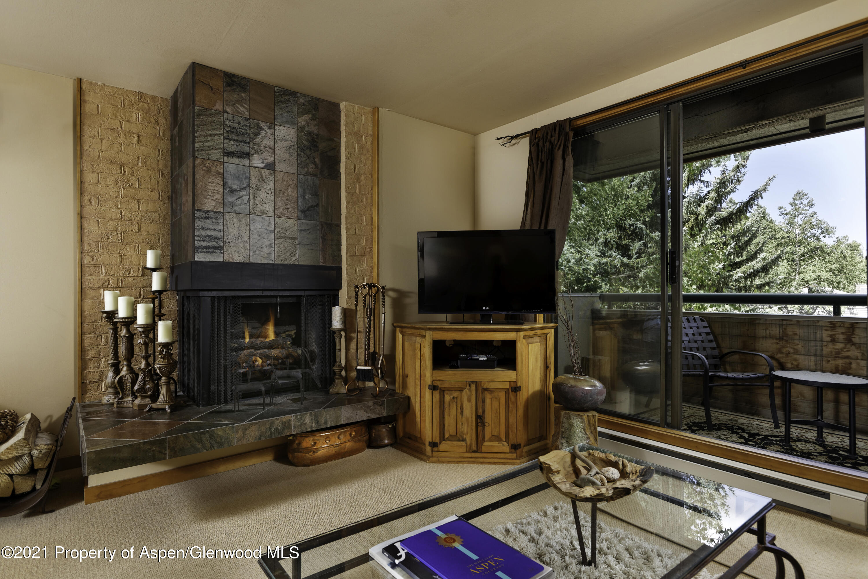 1028 E Hopkins Avenue Aspen CO 81611