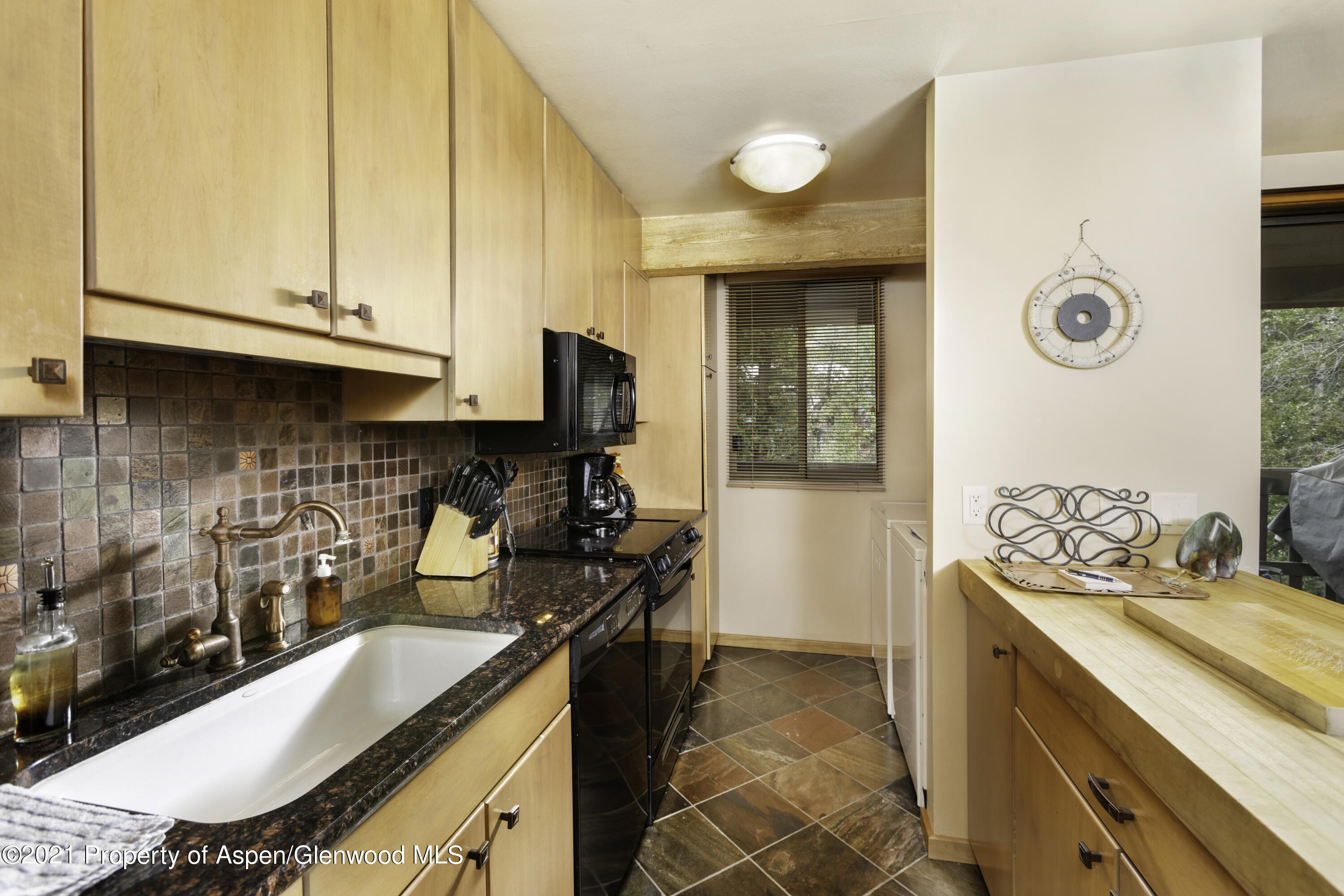 1028 E Hopkins Avenue Aspen CO 81611