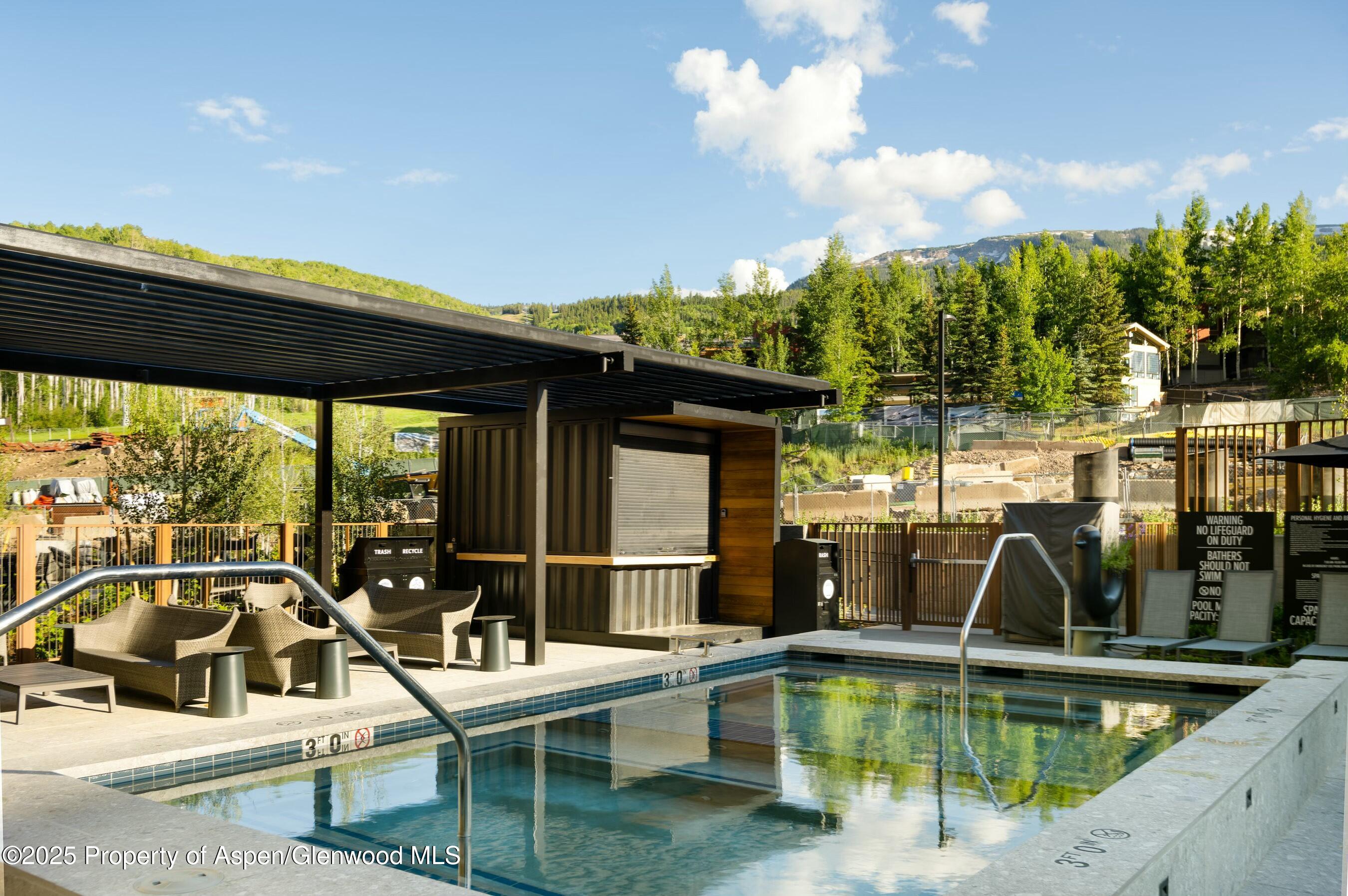 119 Wood Road Snowmass Village CO 81615