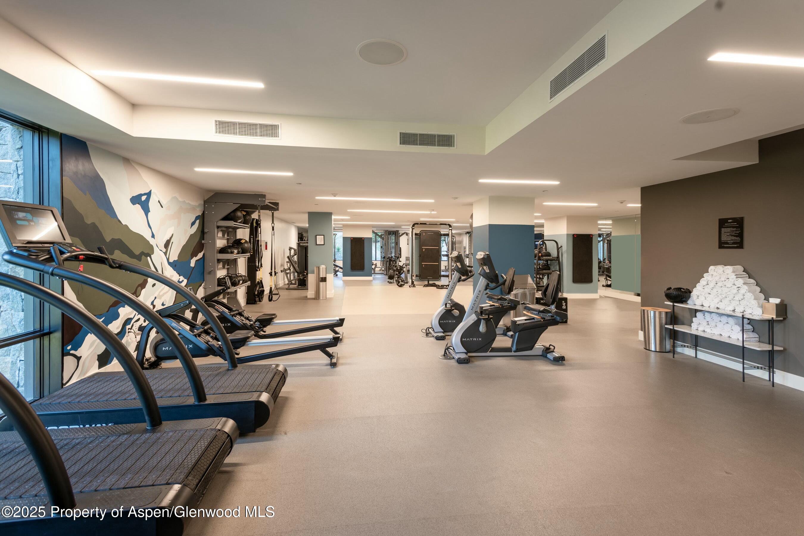 119 Wood Road Snowmass Village CO 81615