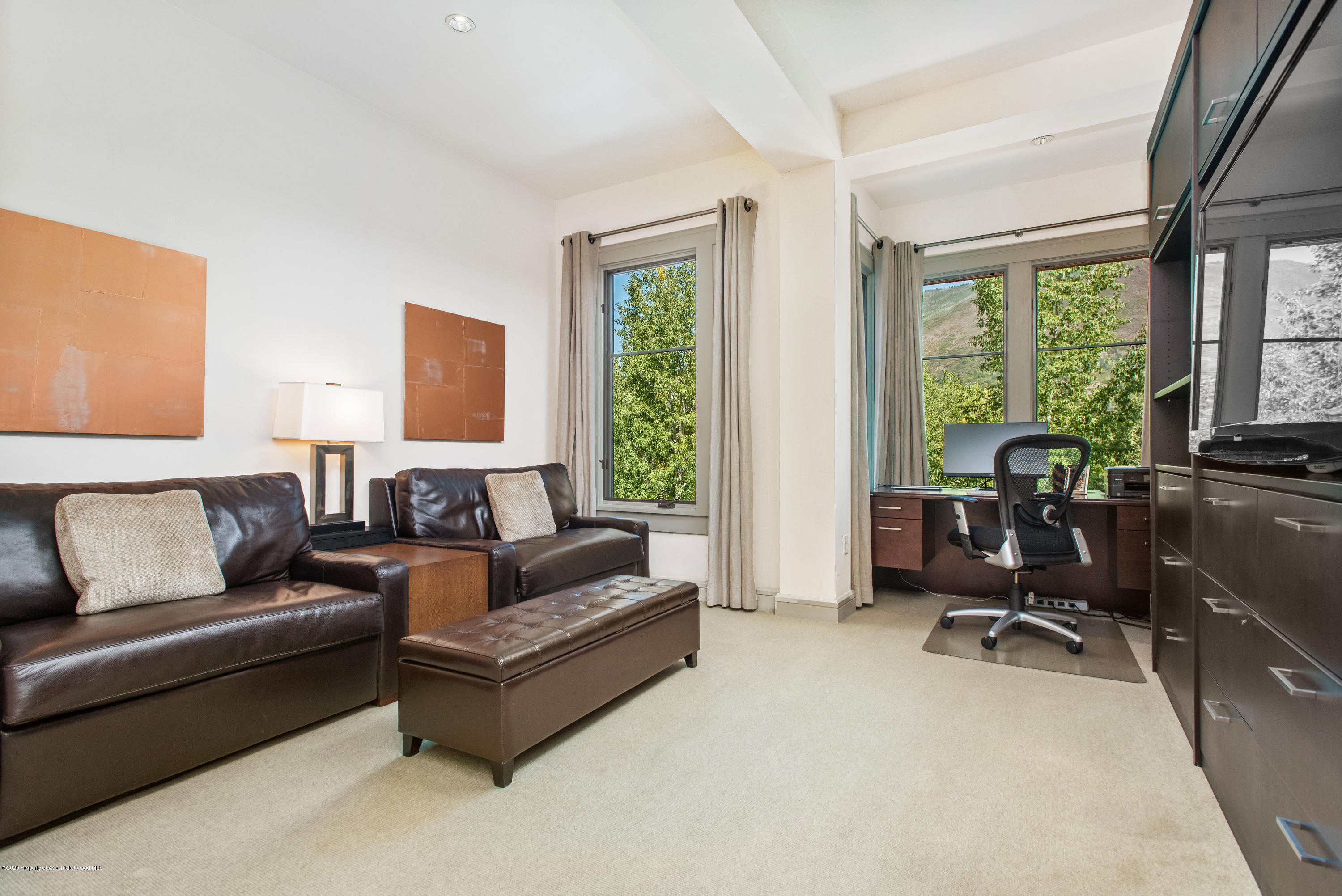 501 Rio Grande Place Aspen CO 81611