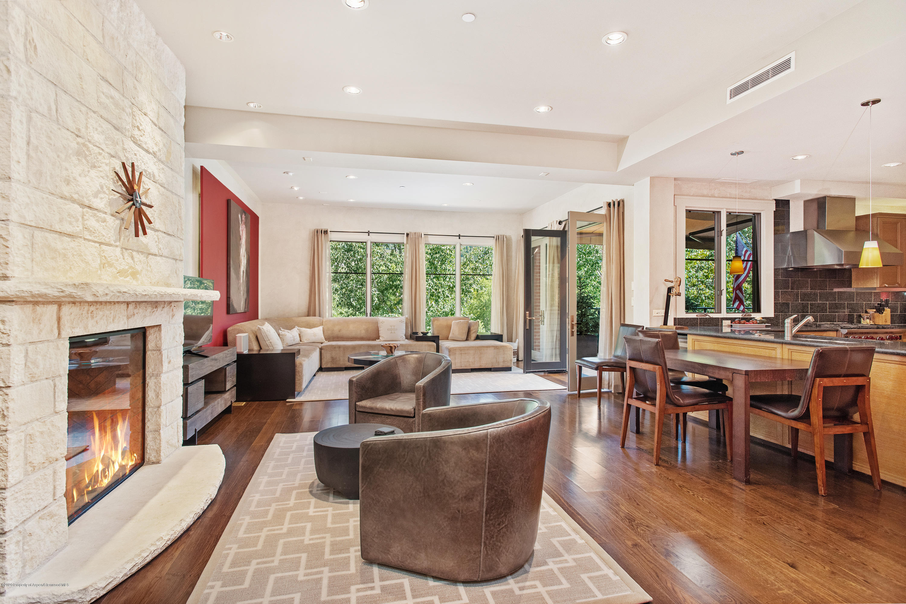 501 Rio Grande Place Aspen CO 81611