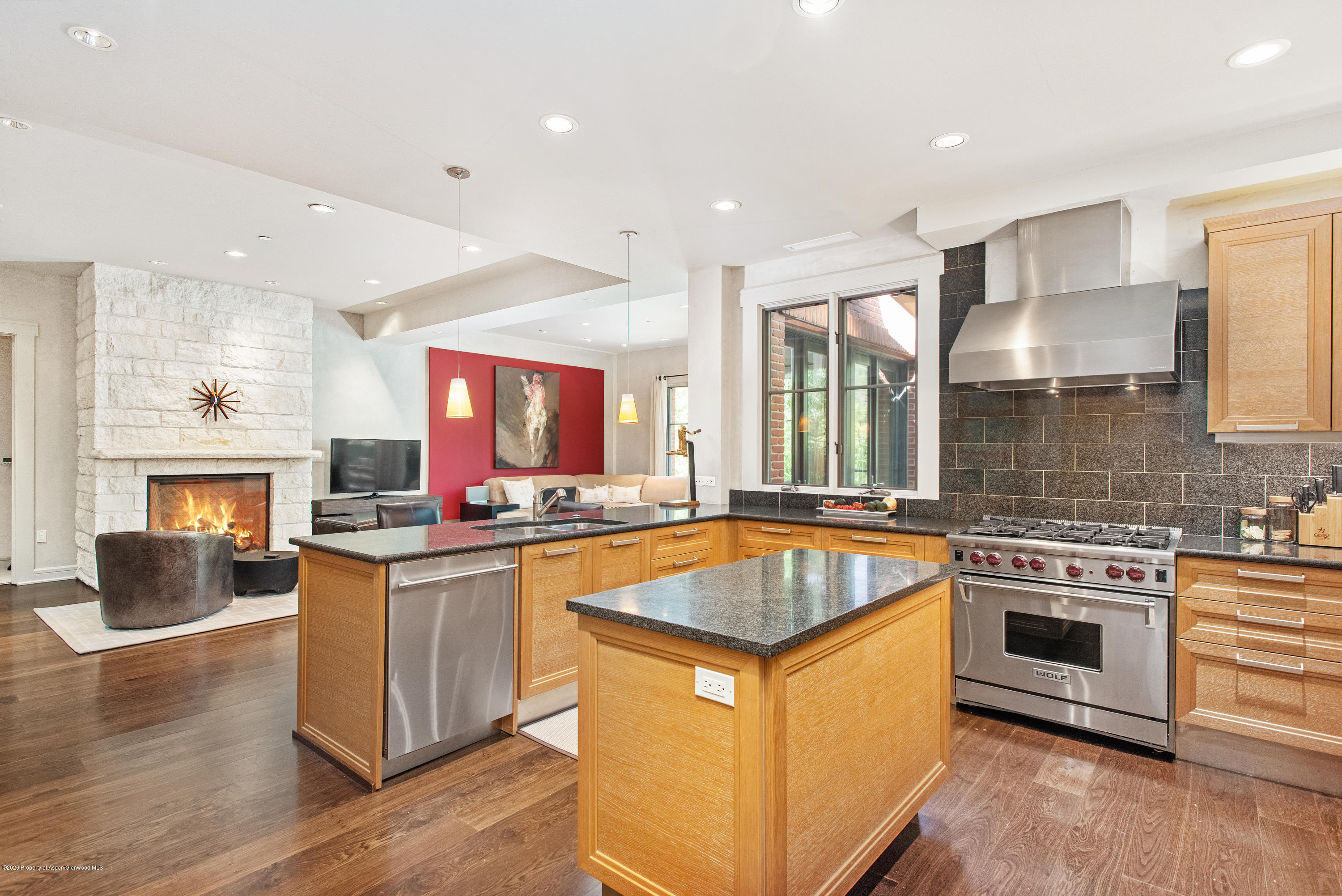 501 Rio Grande Place Aspen CO 81611