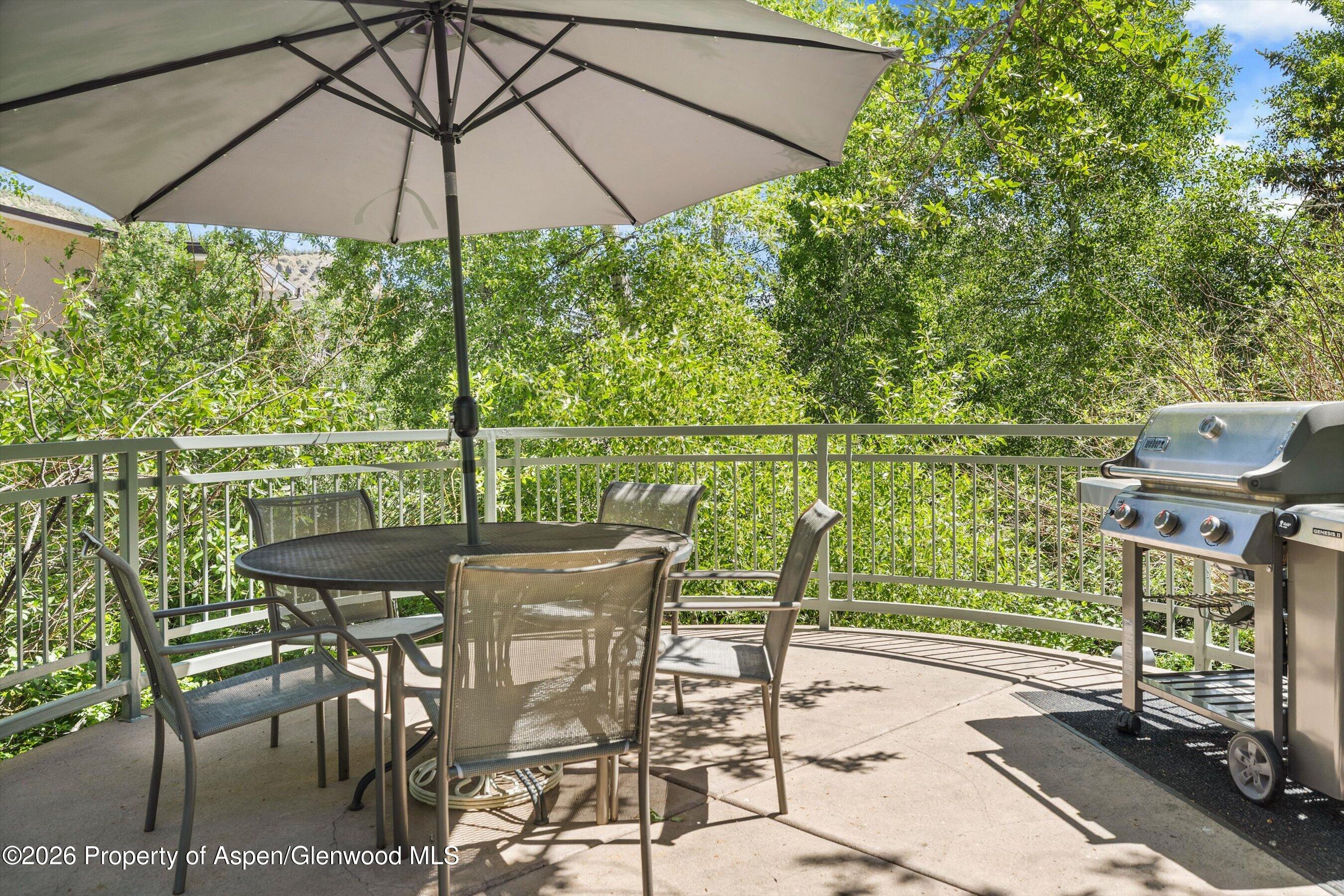 65 Campground Lane Snowmass Village CO 81615