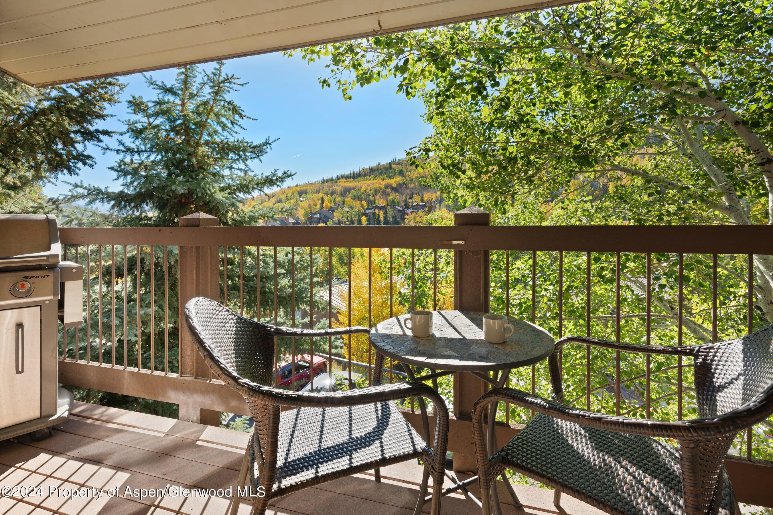 35 Upper Woodbridge Road Snowmass Village CO 81615