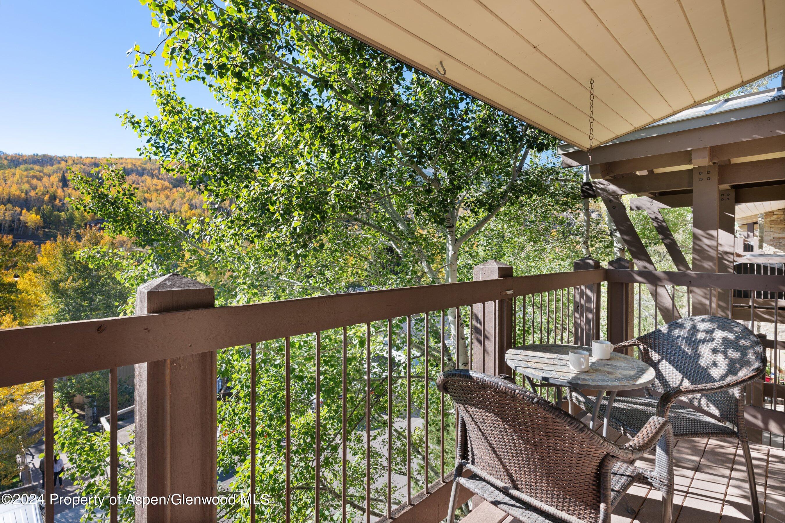 35 Upper Woodbridge Road Snowmass Village CO 81615