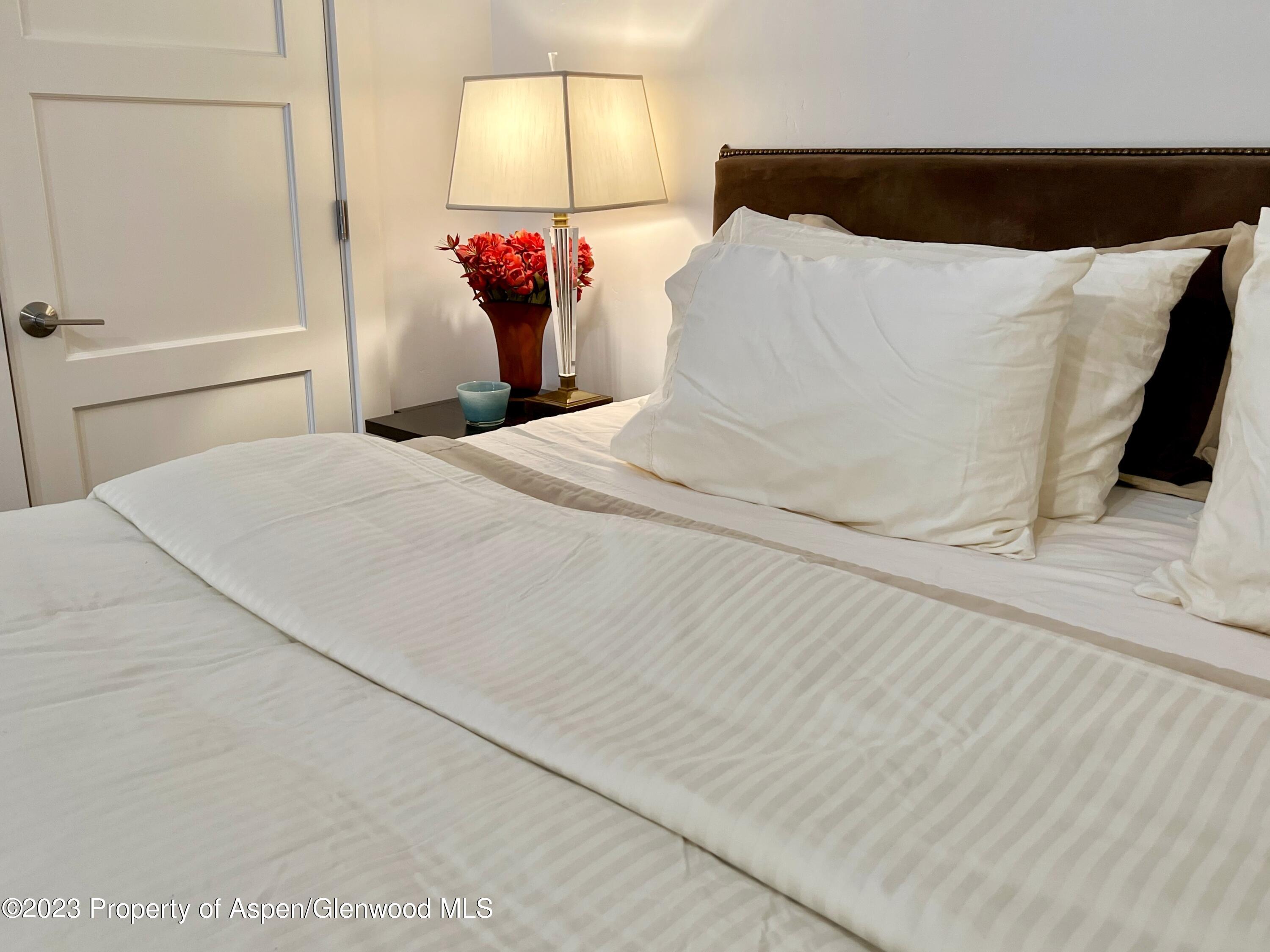 107 Aspen Mountain Road Aspen CO 81611