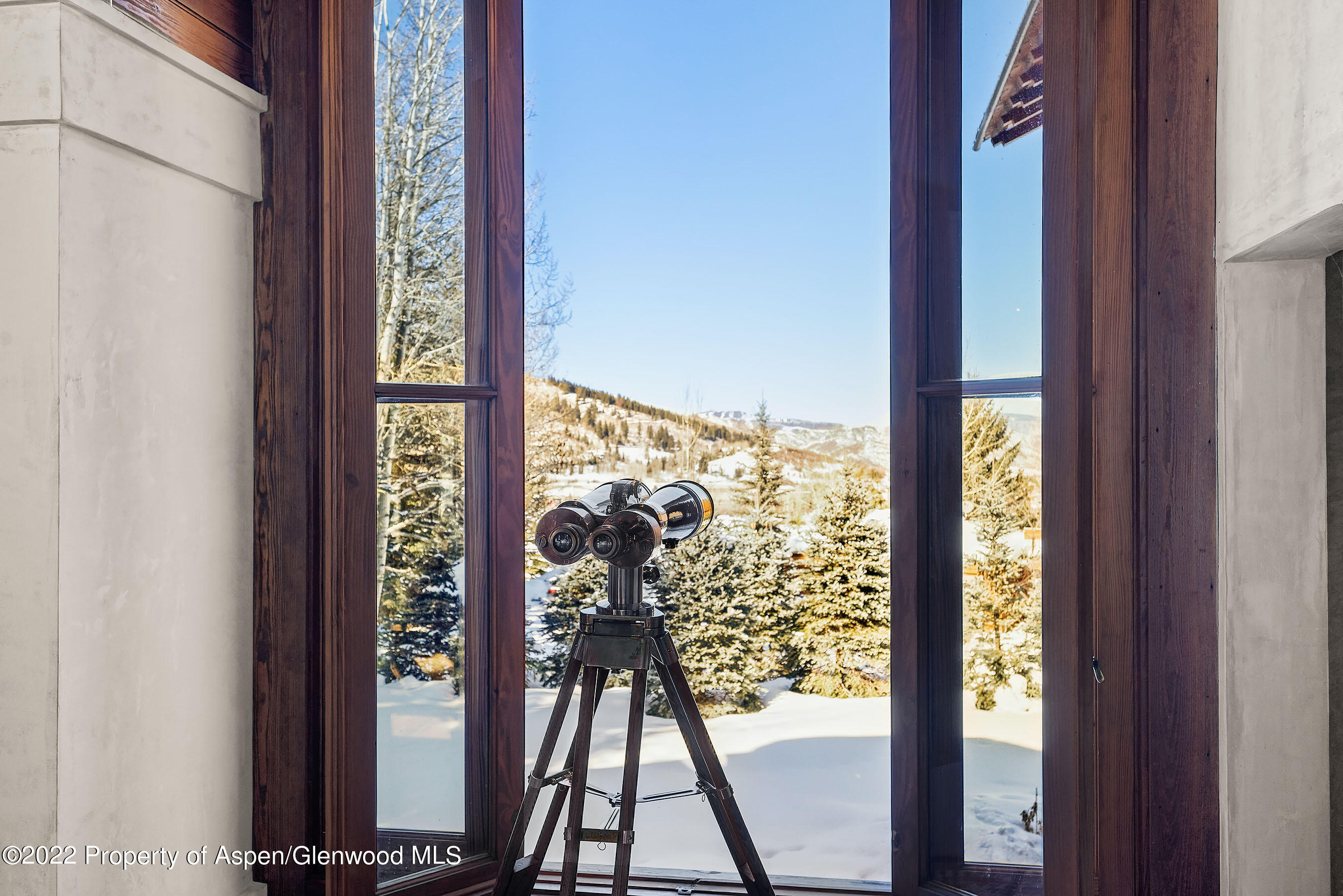 701 Meadowood Drive Aspen CO 81611