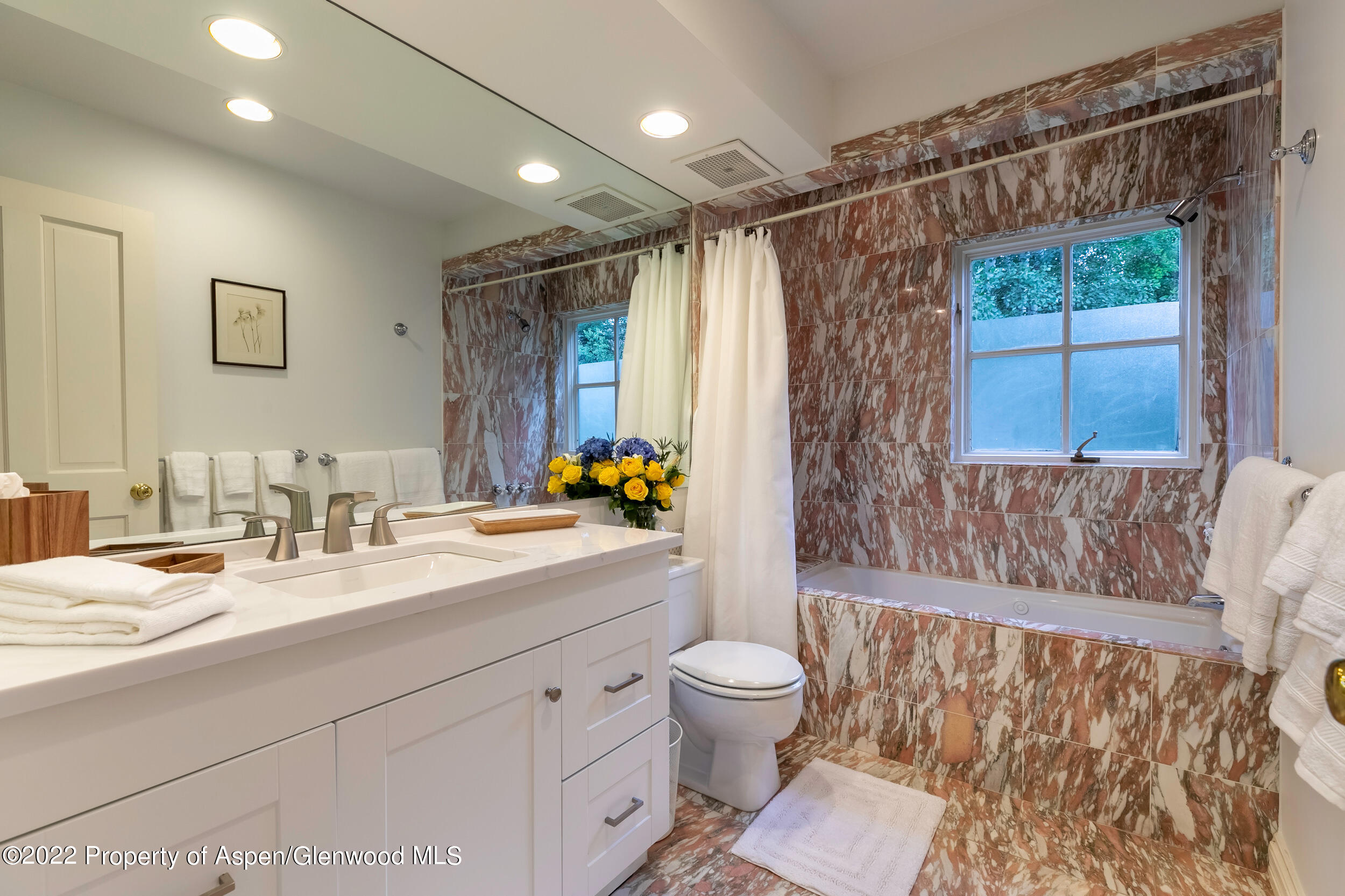 334 W Hallam Street Aspen CO 81611