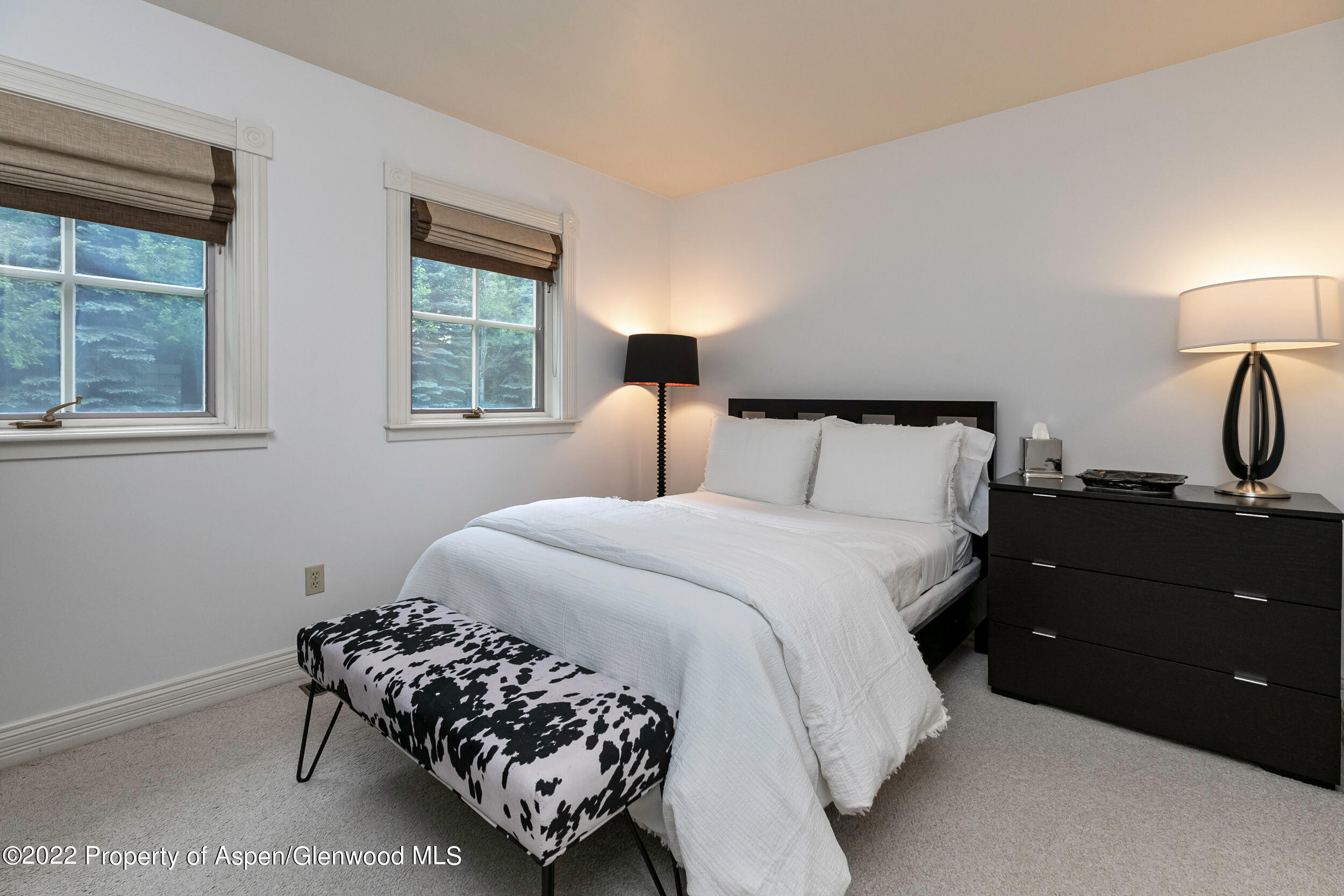 334 W Hallam Street Aspen CO 81611