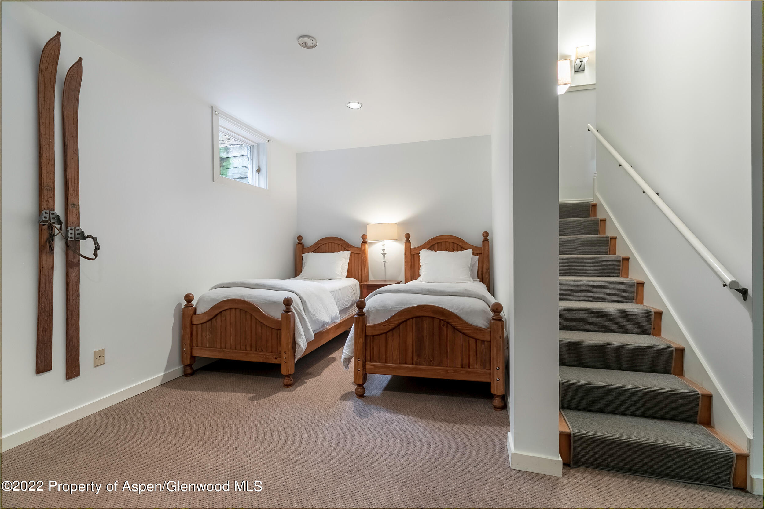 334 W Hallam Street Aspen CO 81611