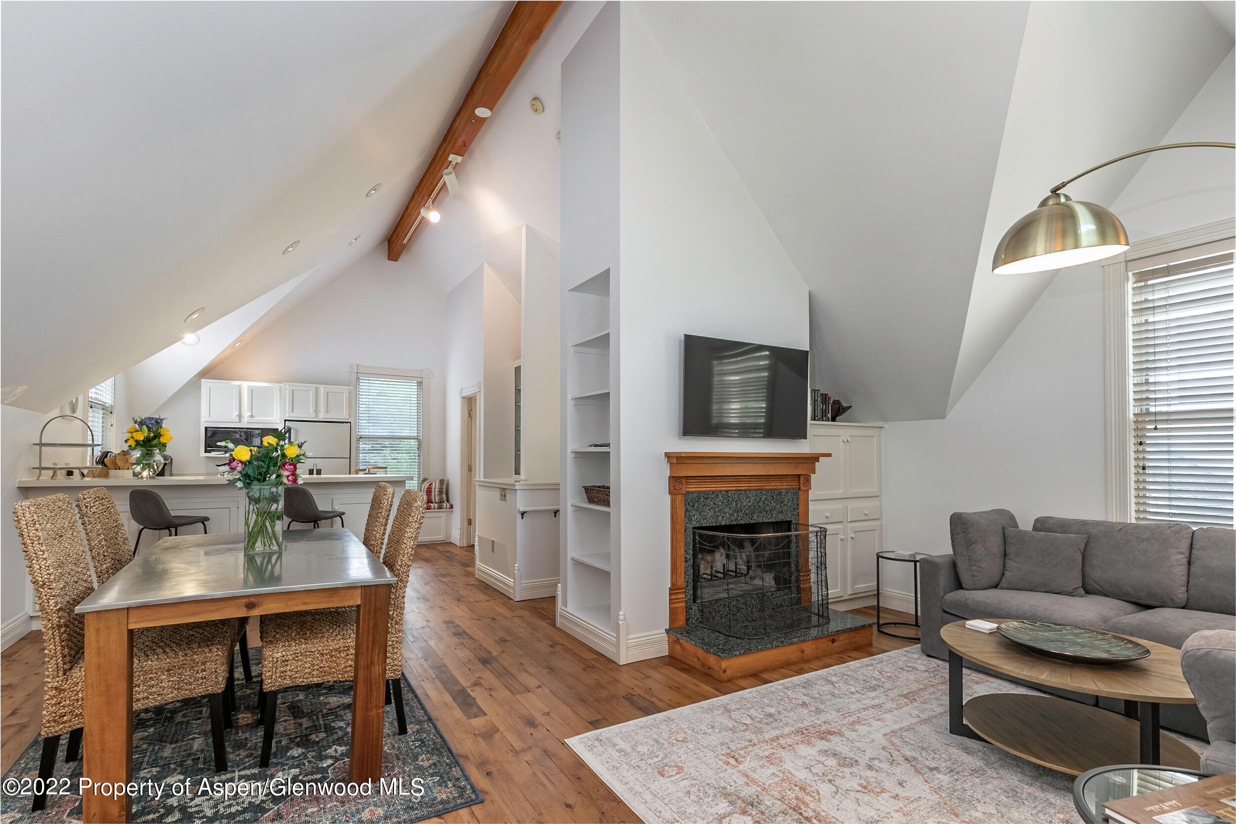 334 W Hallam Street Aspen CO 81611