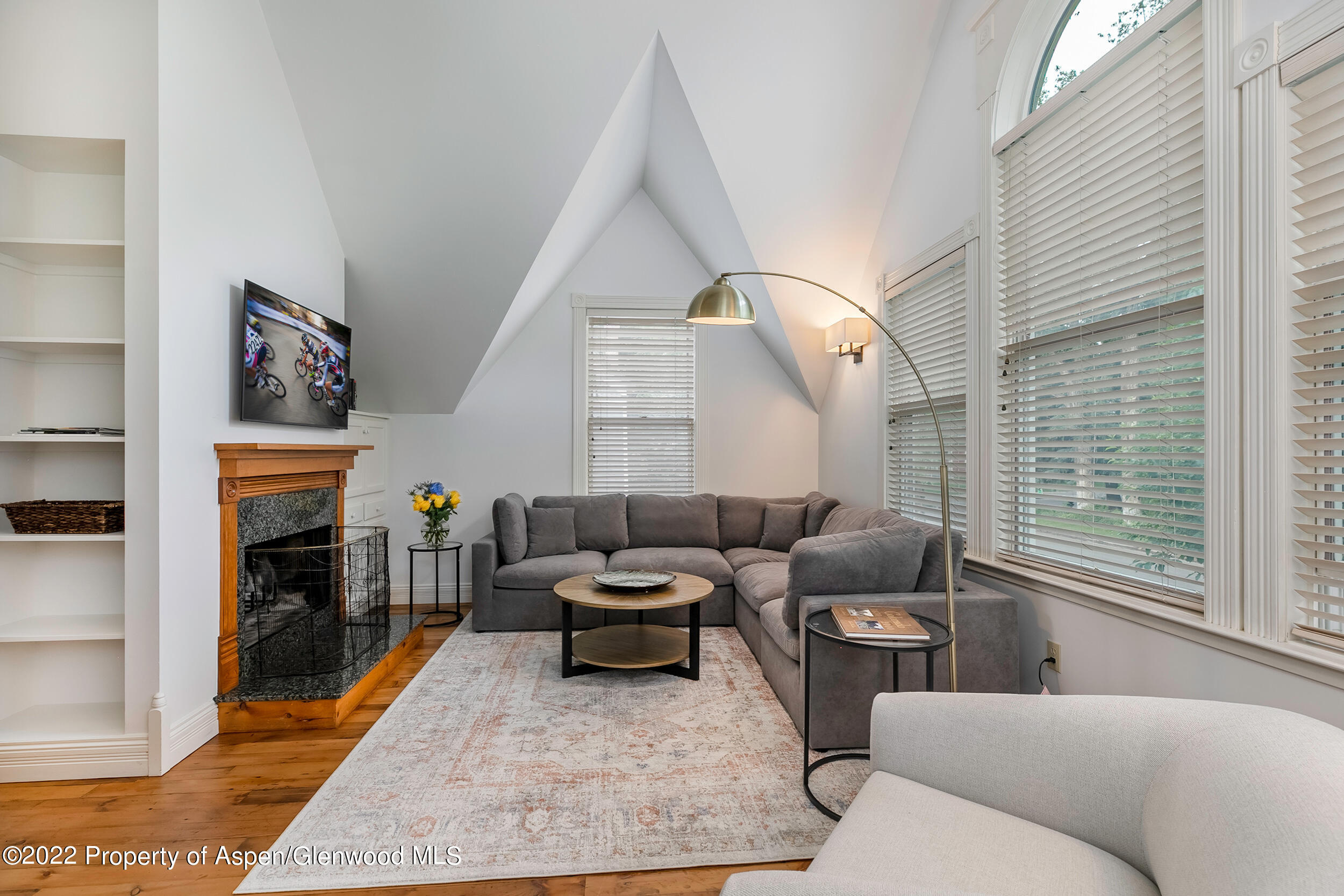 334 W Hallam Street Aspen CO 81611