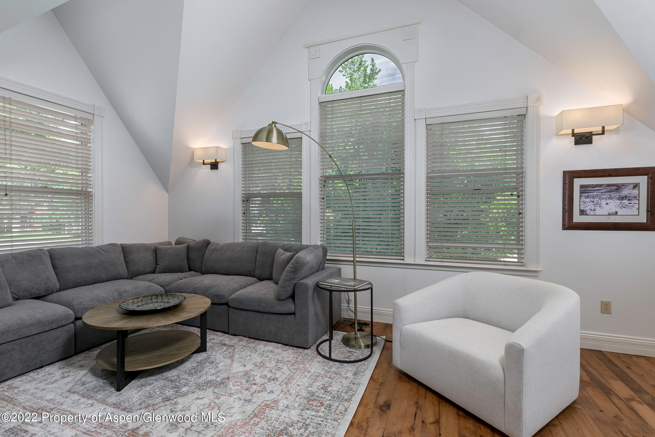 334 W Hallam Street Aspen CO 81611