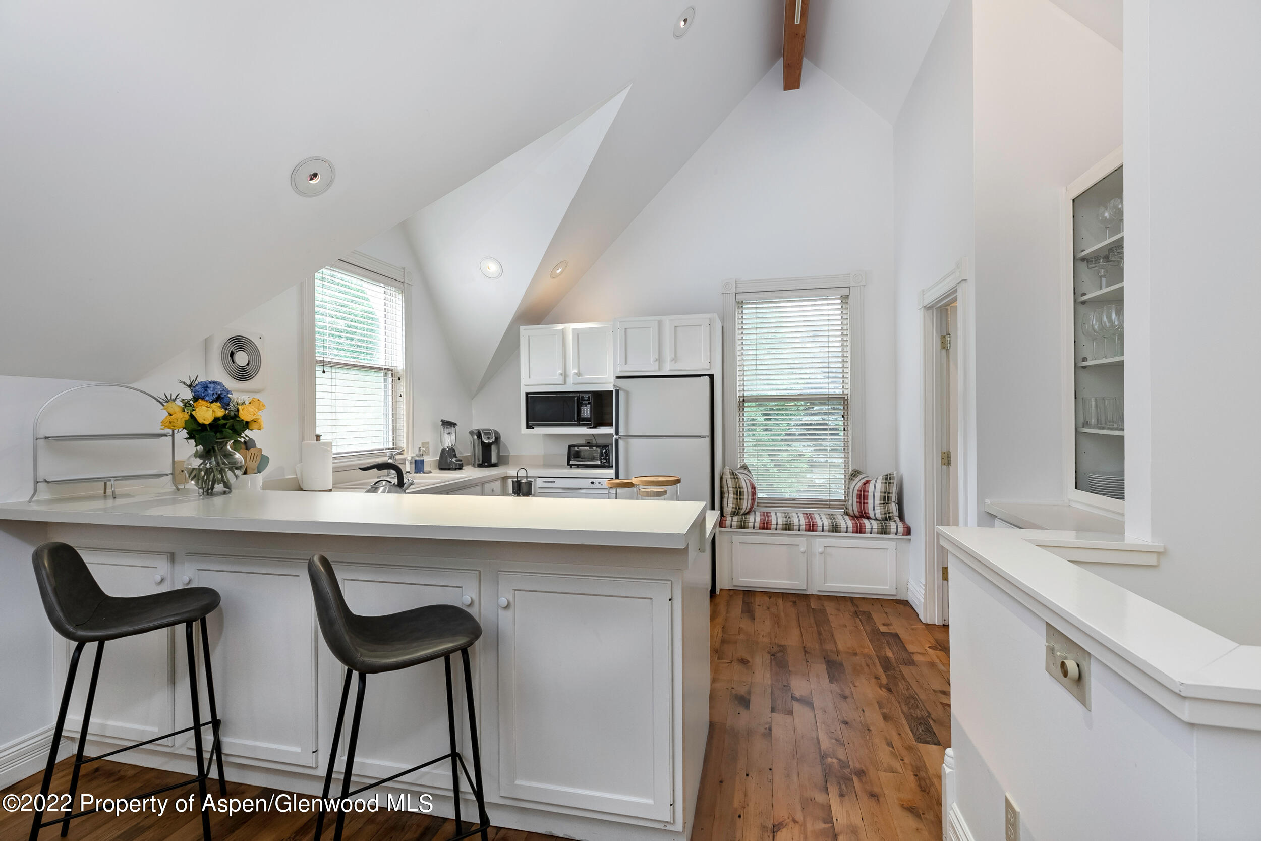 334 W Hallam Street Aspen CO 81611