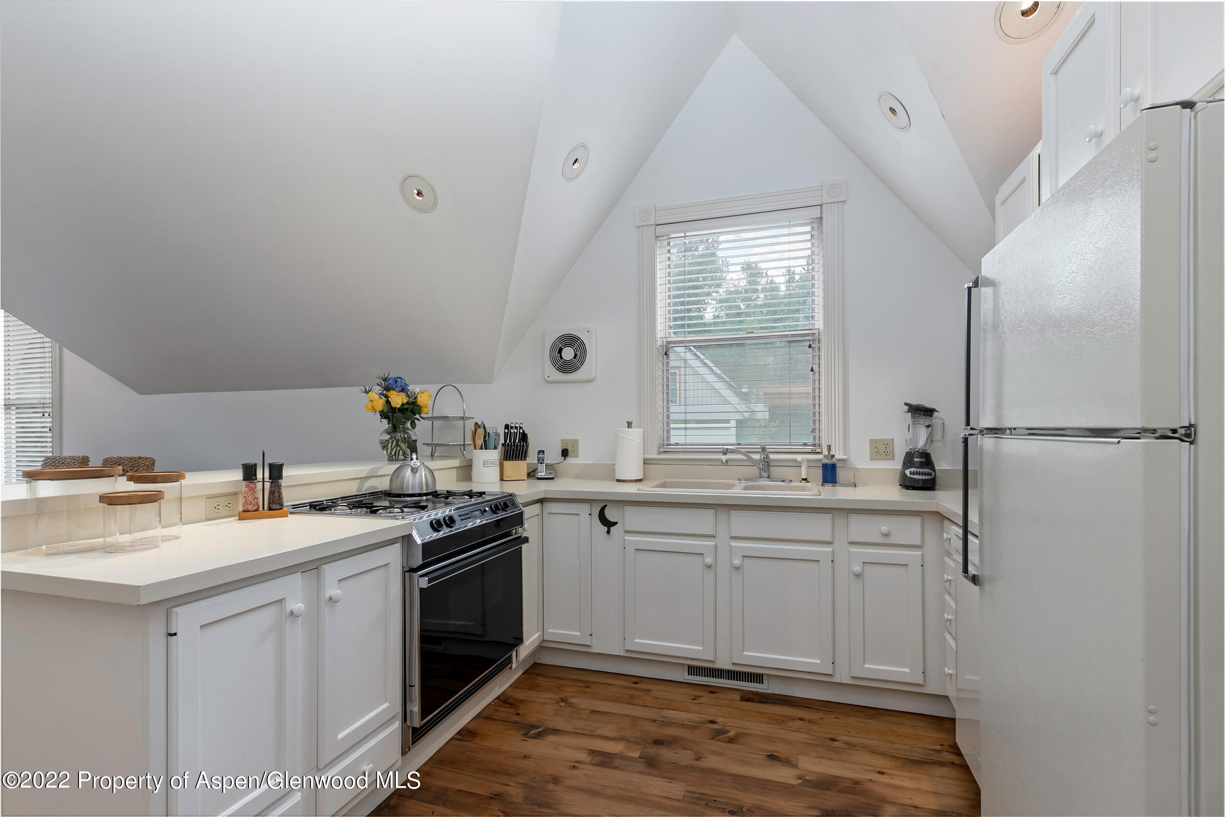 334 W Hallam Street Aspen CO 81611