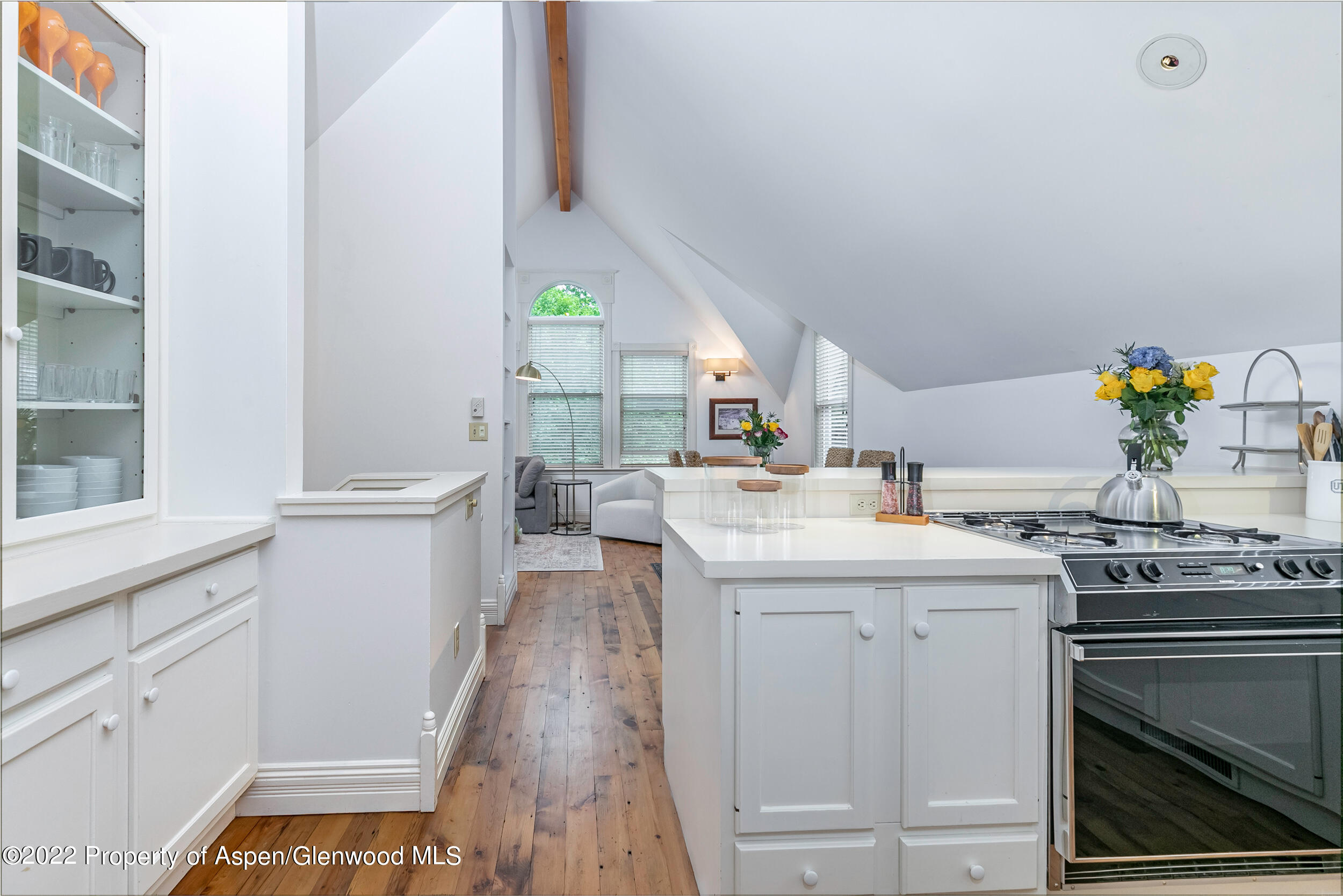 334 W Hallam Street Aspen CO 81611