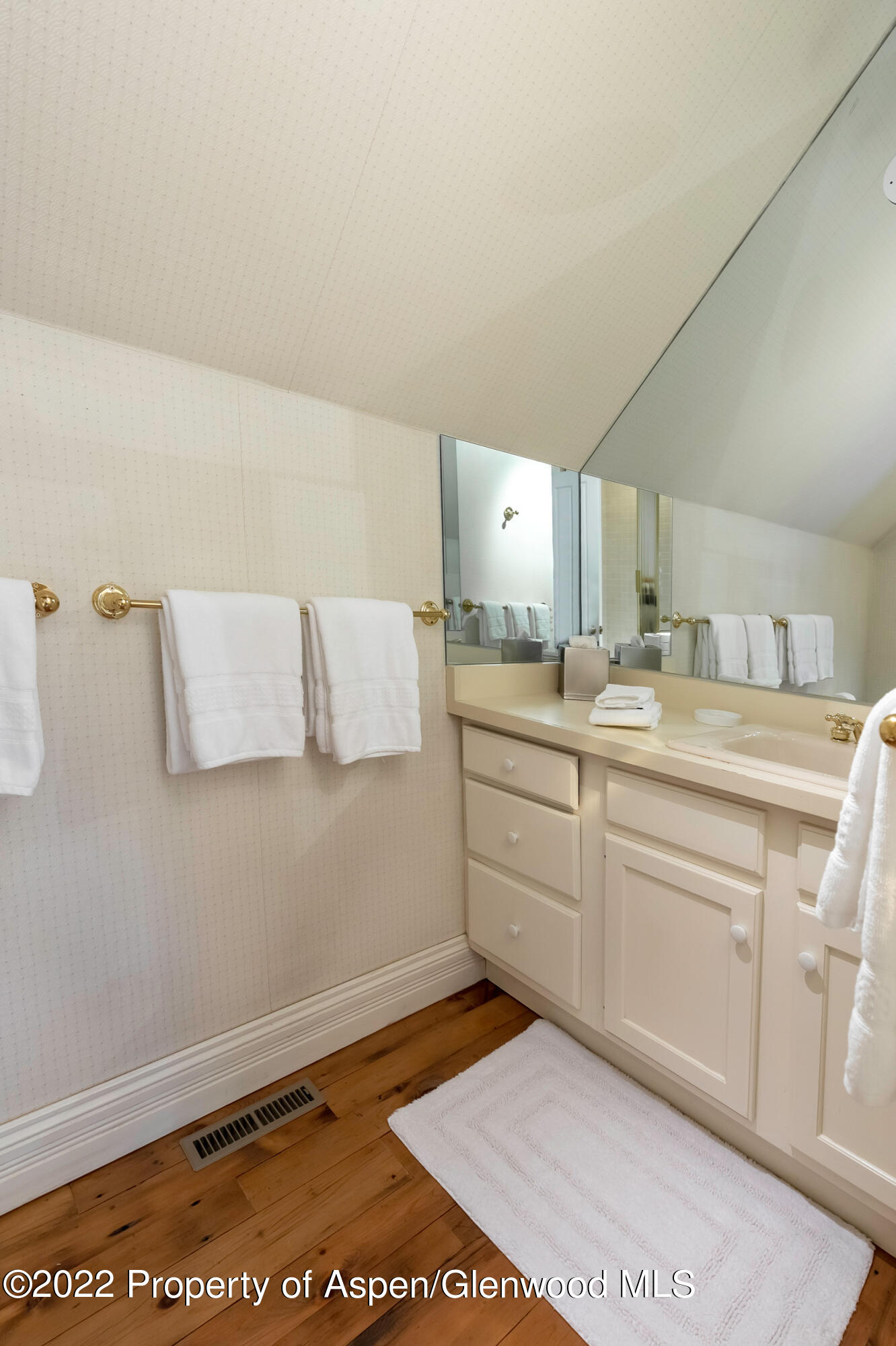 334 W Hallam Street Aspen CO 81611