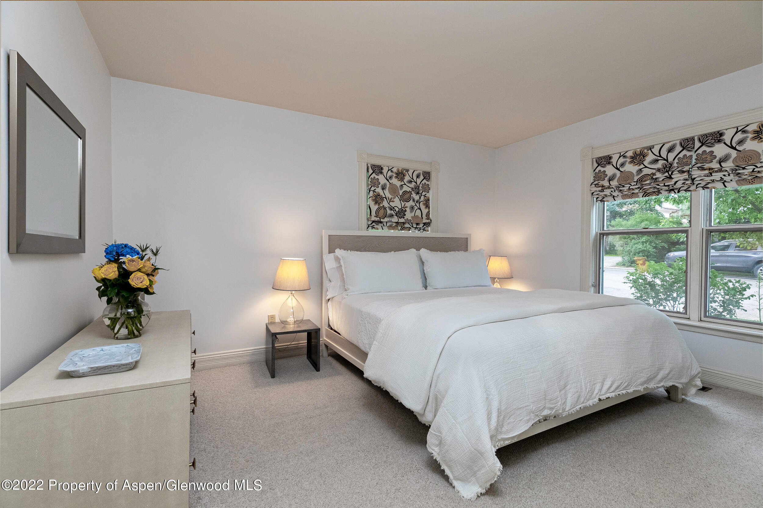 334 W Hallam Street Aspen CO 81611