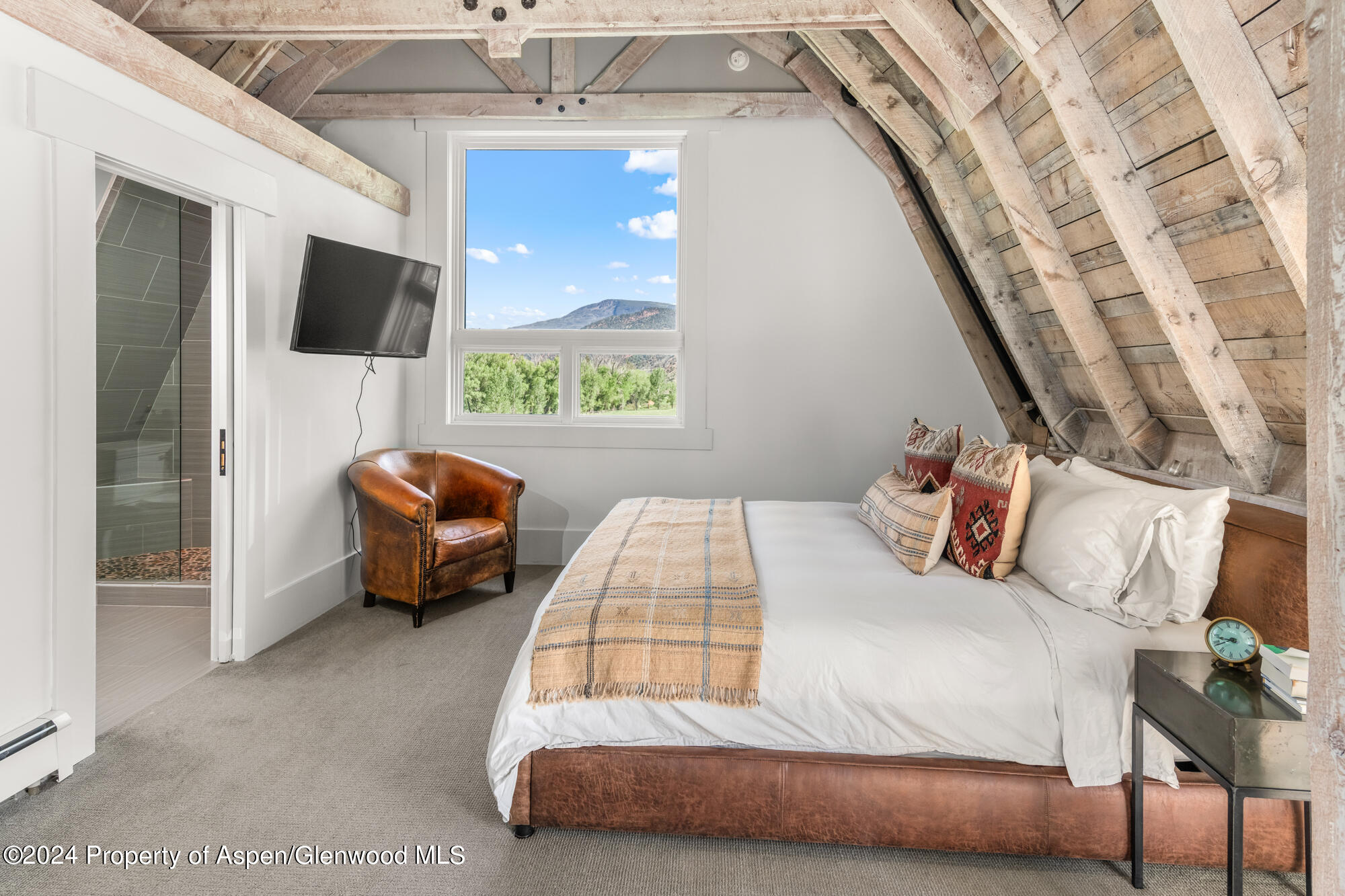 172 Katie Park Lane Snowmass CO 81654